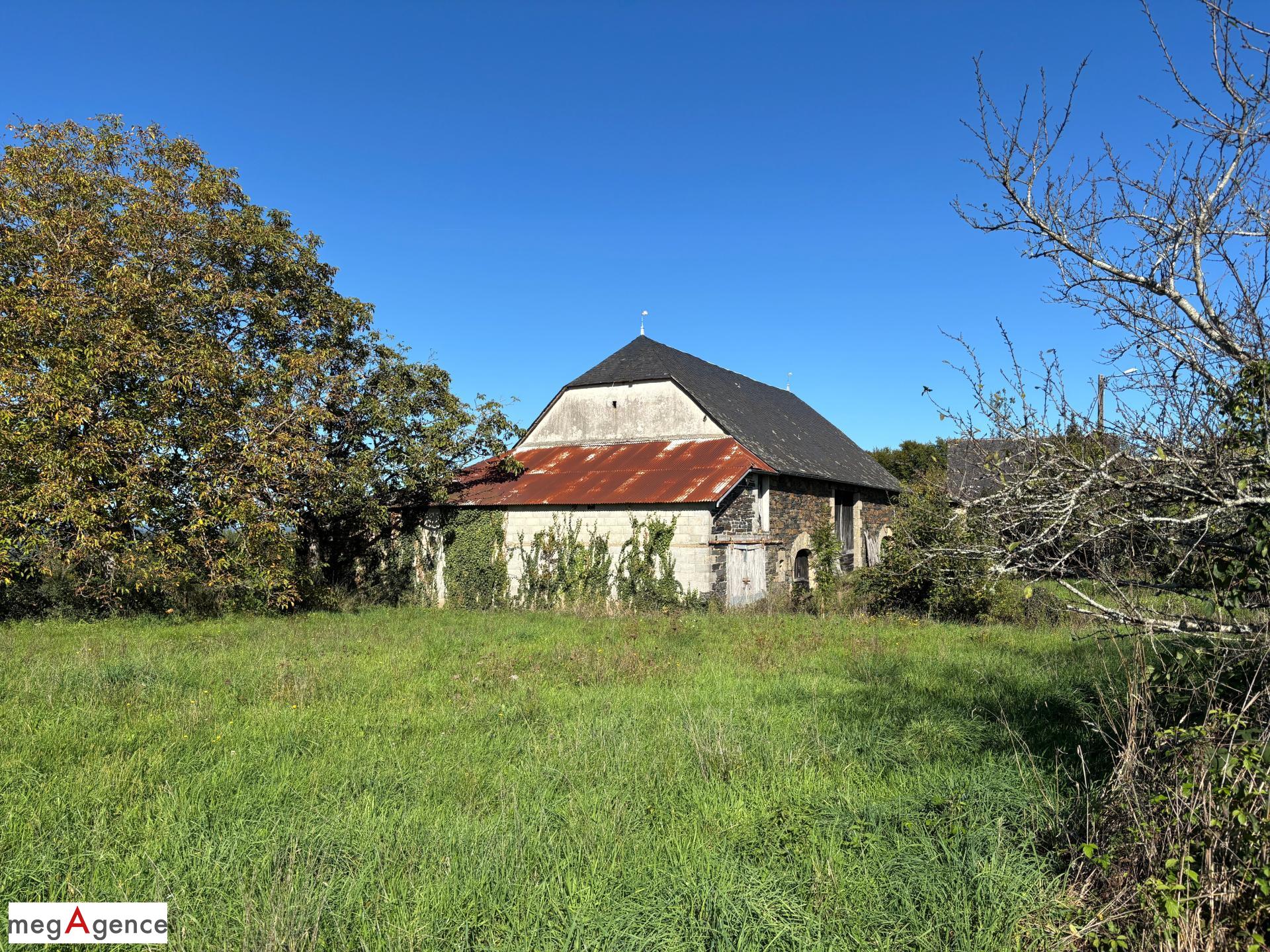 Miniature photo - 5 / 11