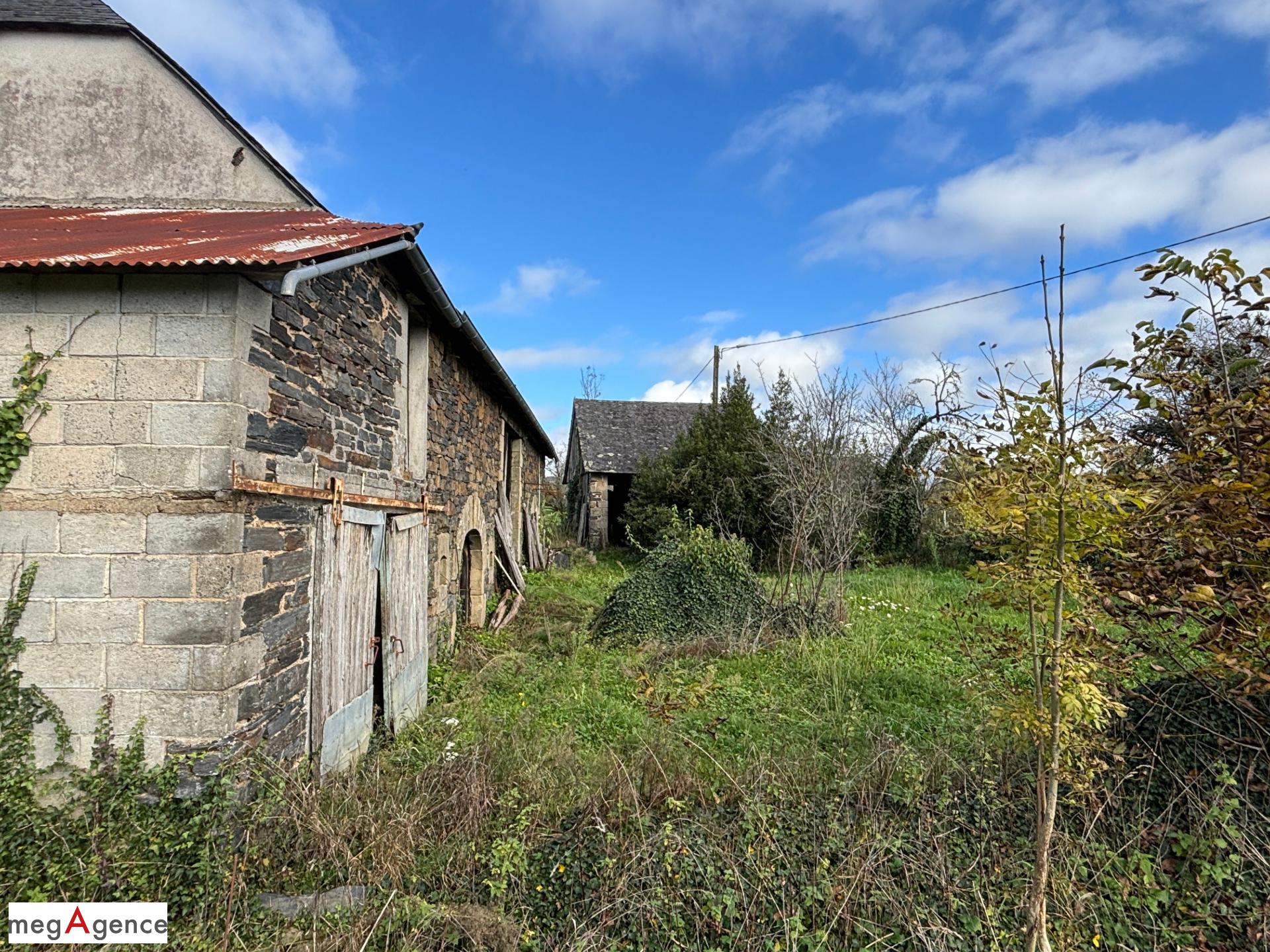 Miniature photo - 3 / 11