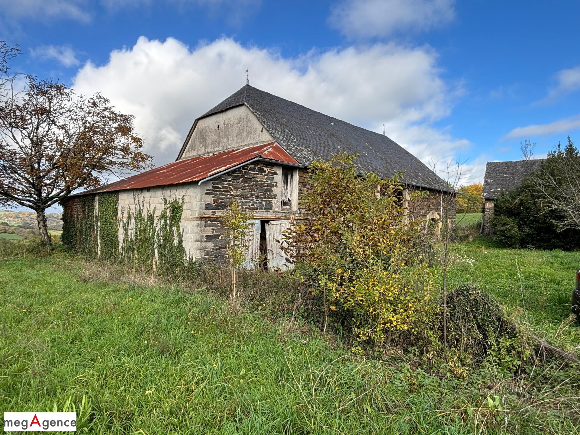 Miniature photo - 4 / 11