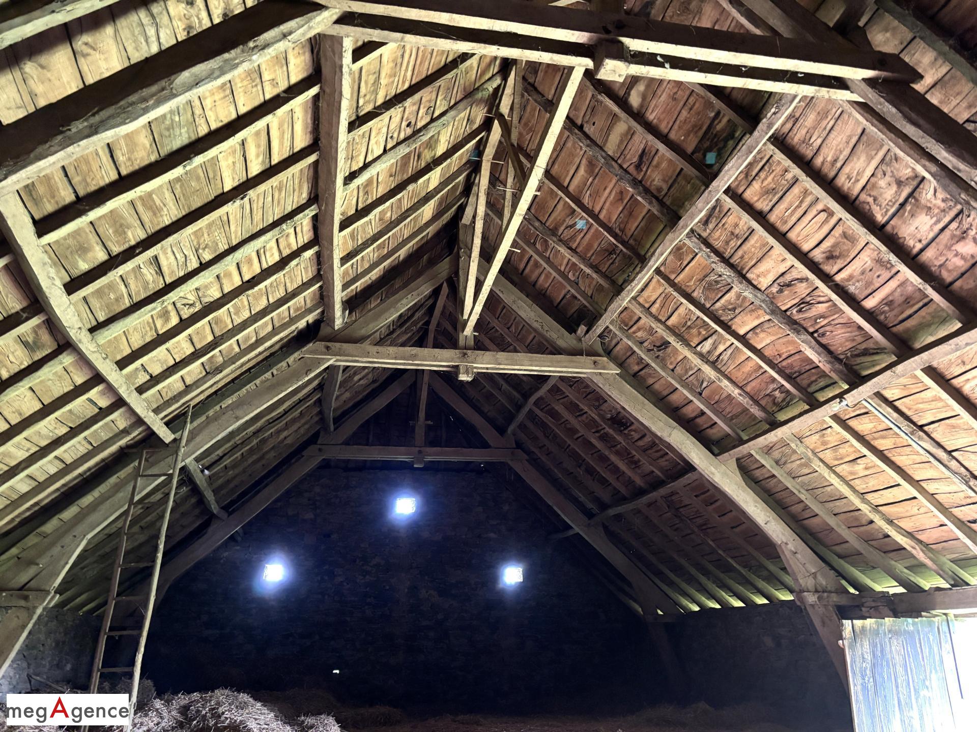 Miniature photo - 11 / 11