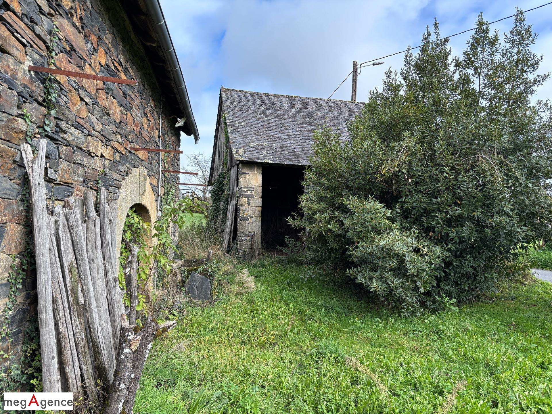 Miniature photo - 6 / 11