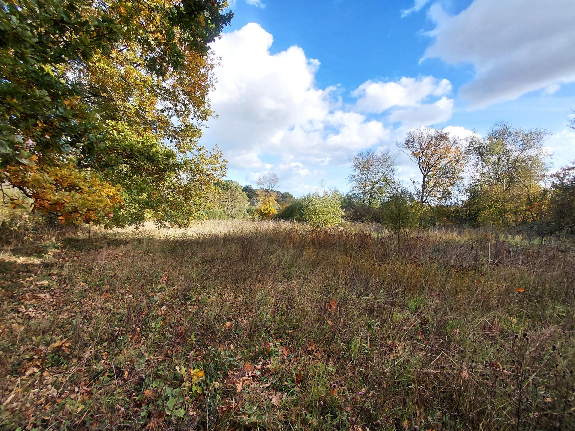 Miniature photo - 10 / 12