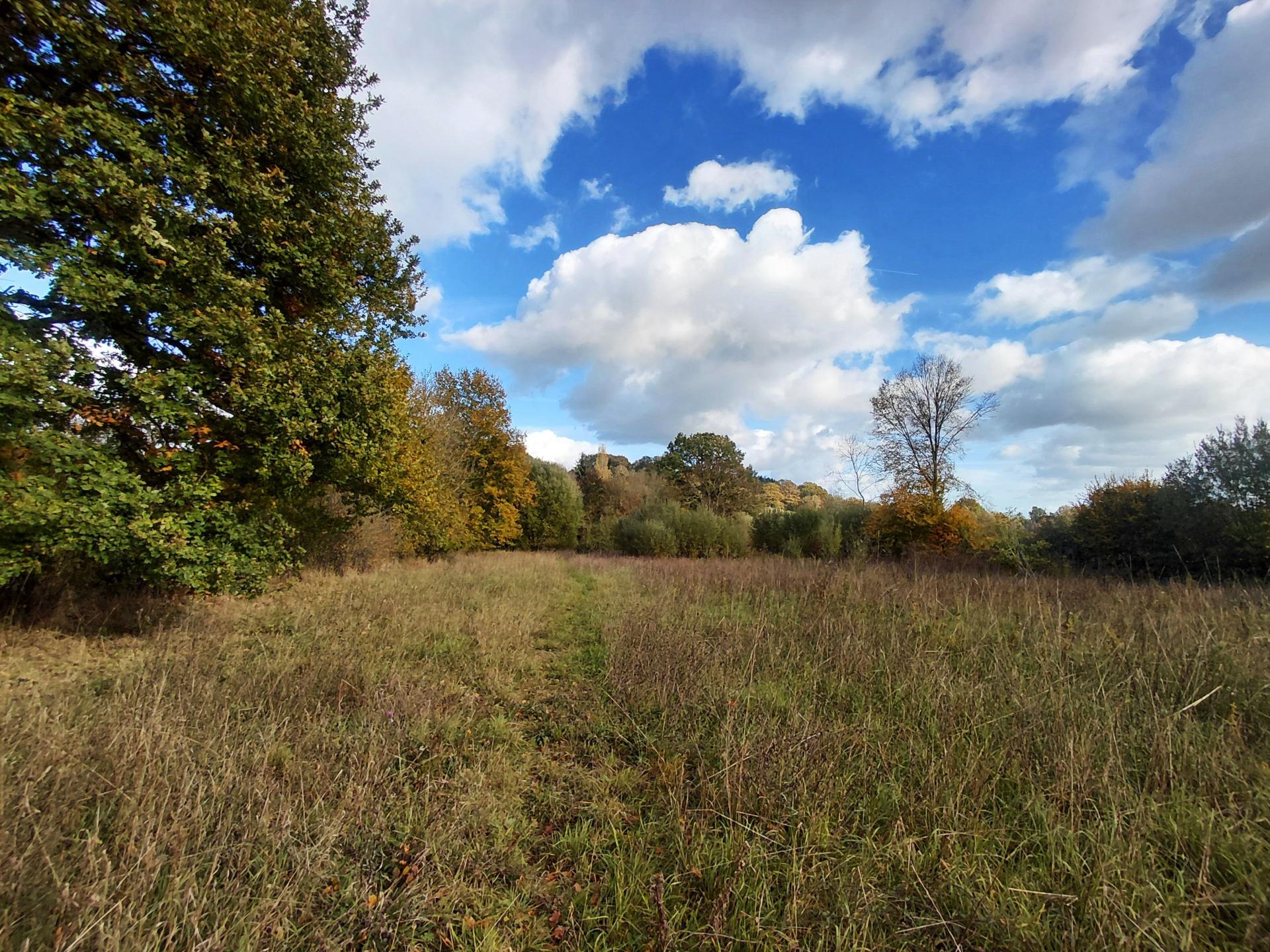 Miniature photo - 11 / 12