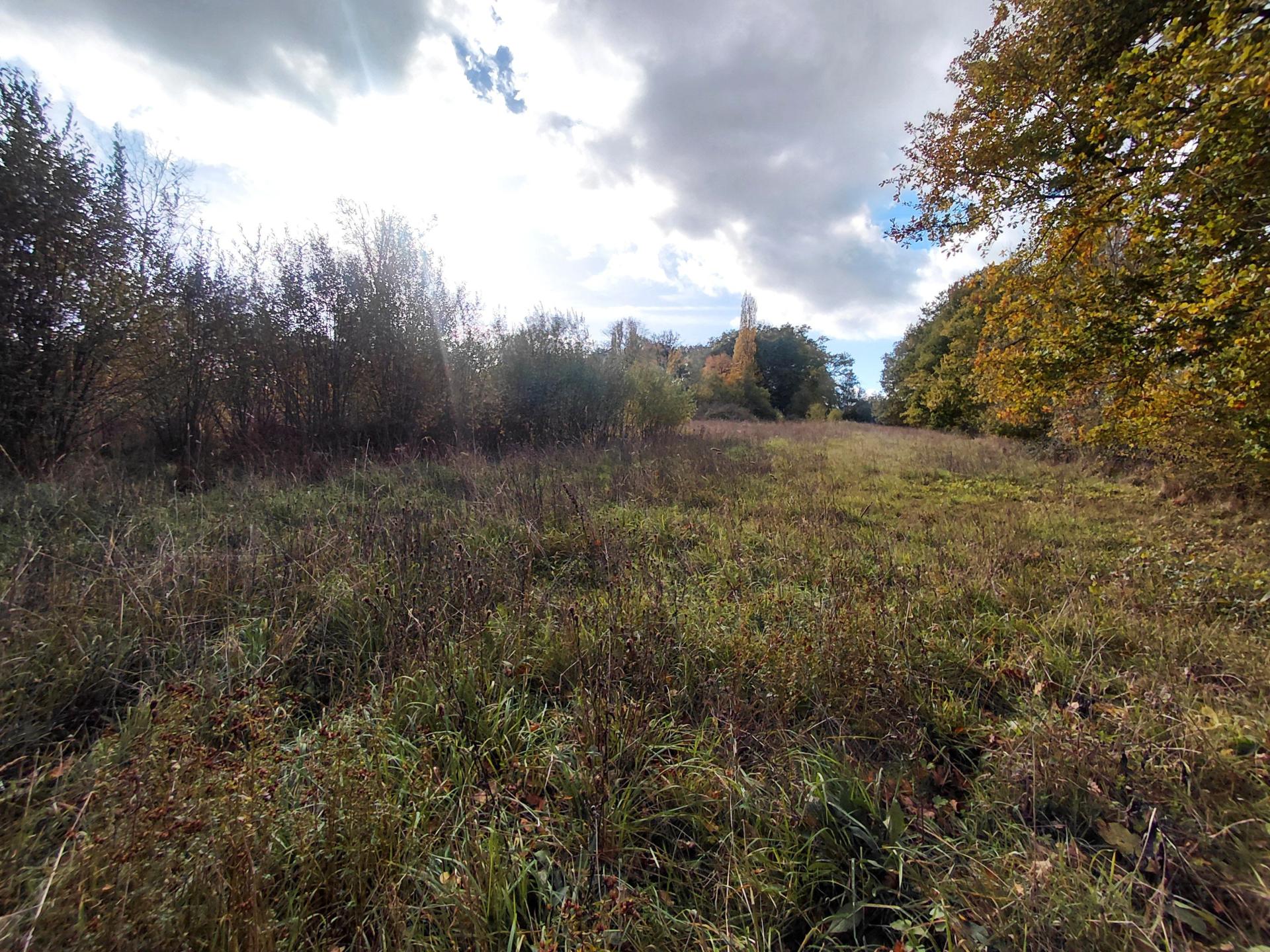 Miniature photo - 12 / 12