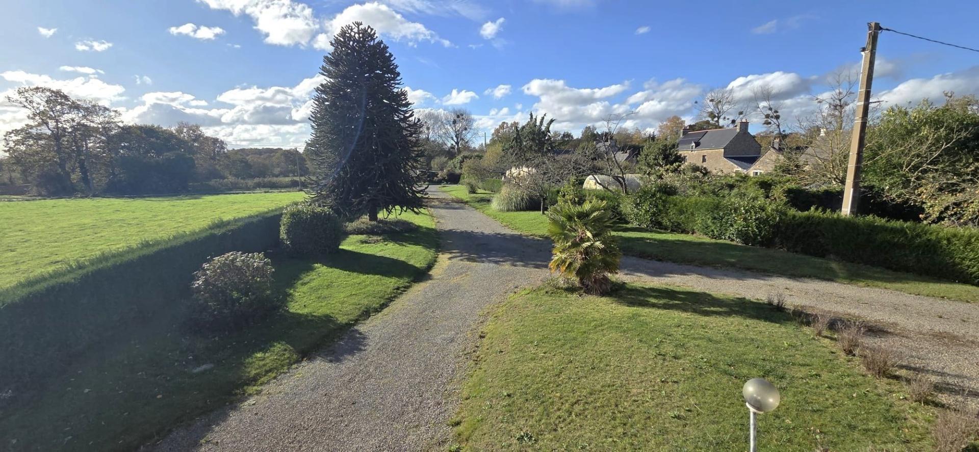 Miniature photo - 4 / 14