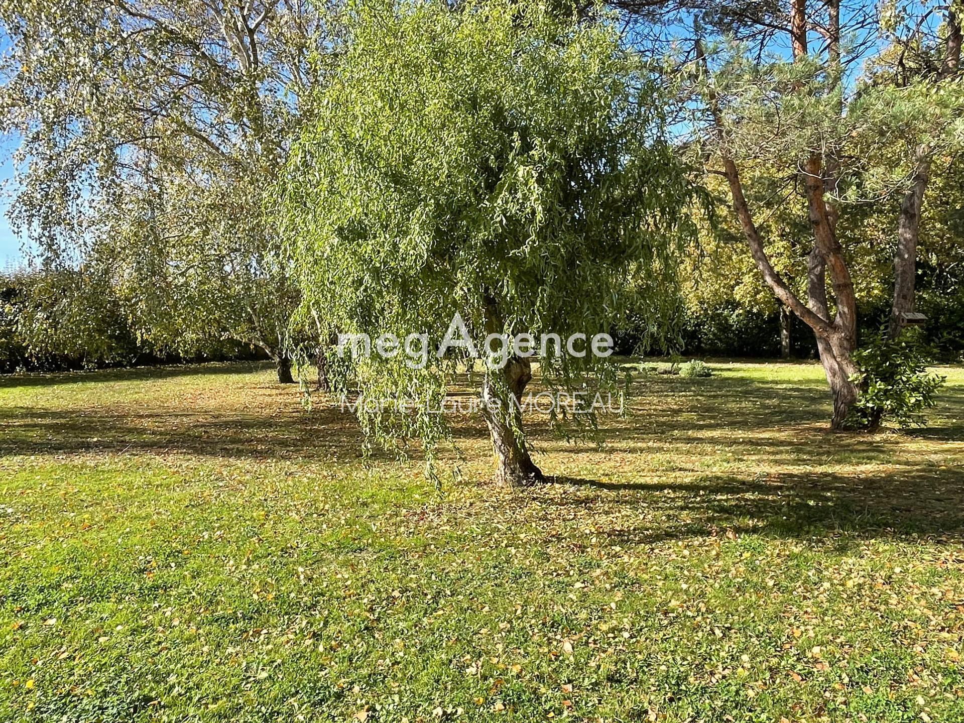 Miniature photo - 20 / 20