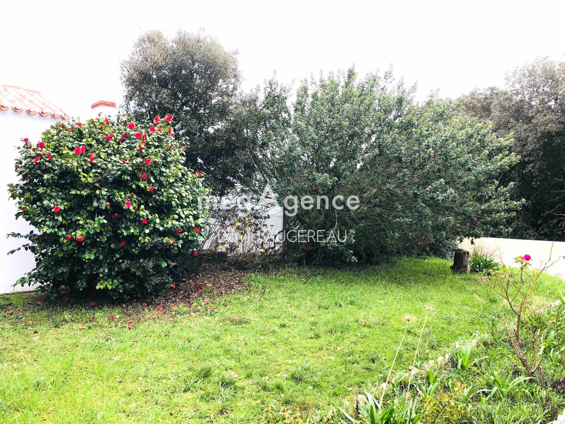 Miniature photo - 6 / 10