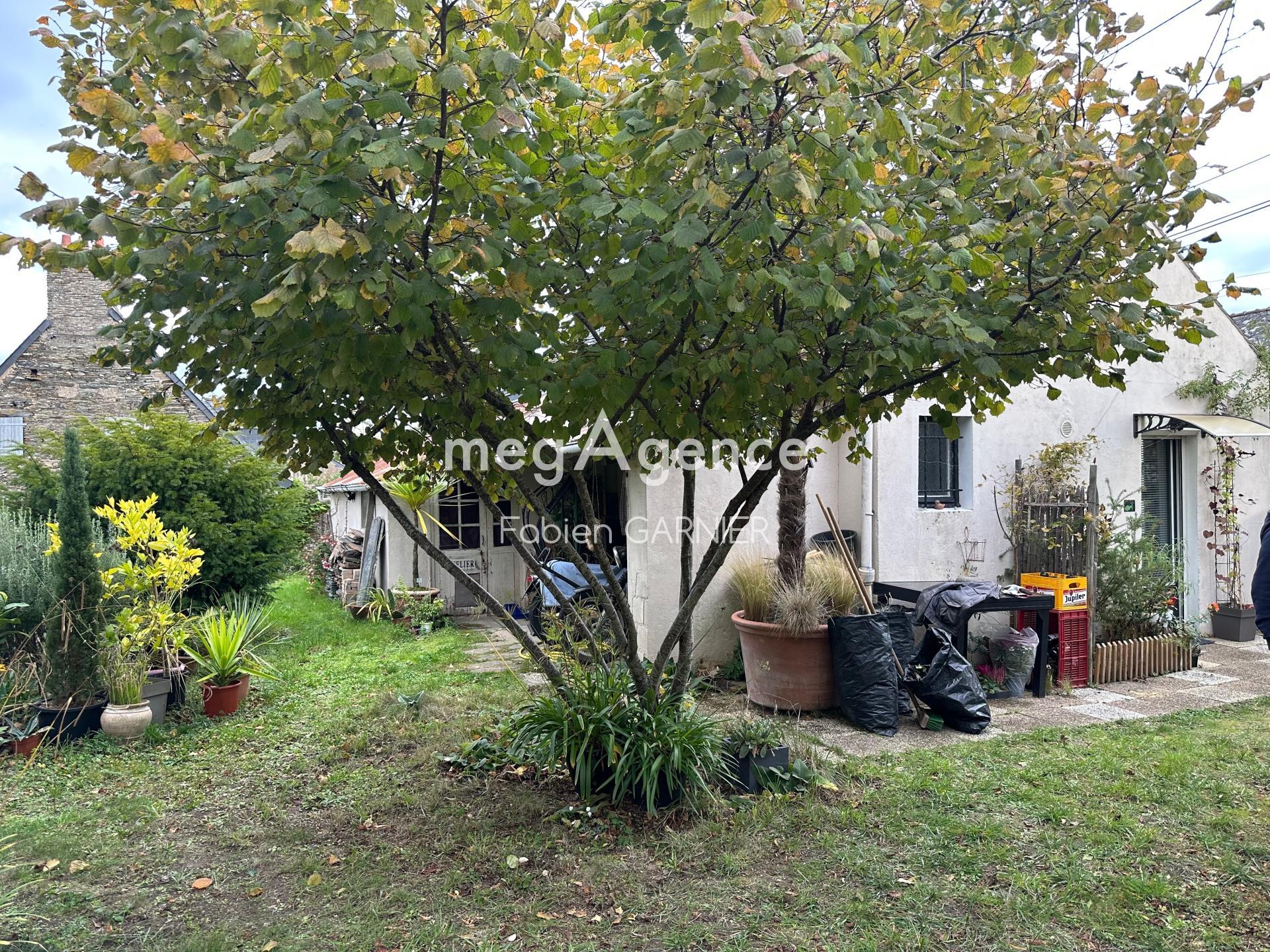 Miniature photo - 4 / 12