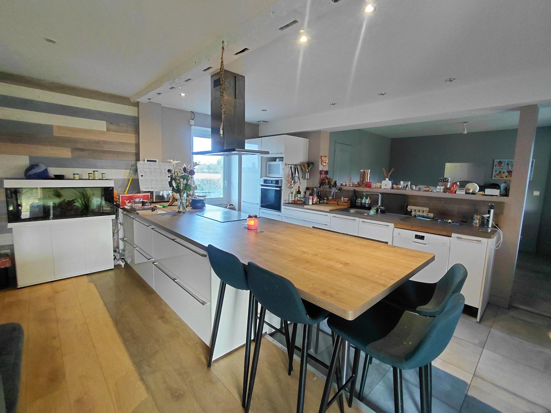 Miniature photo - 4 / 11