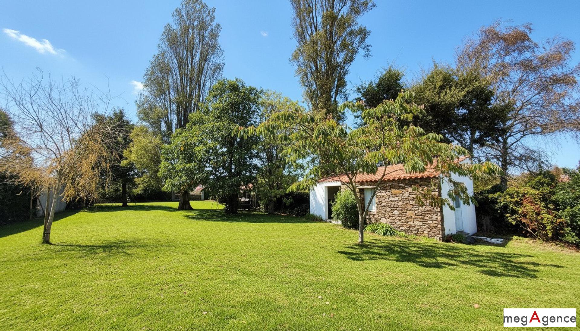 Miniature photo - 4 / 15