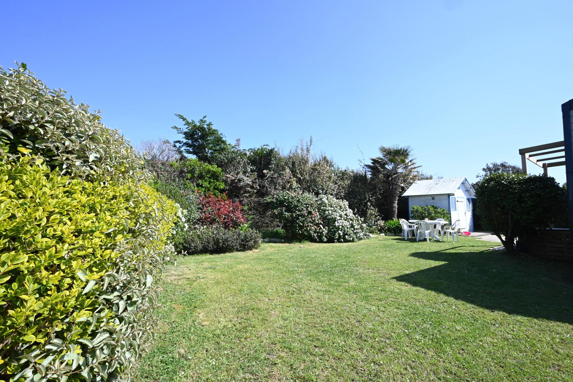 Miniature photo - 11 / 12