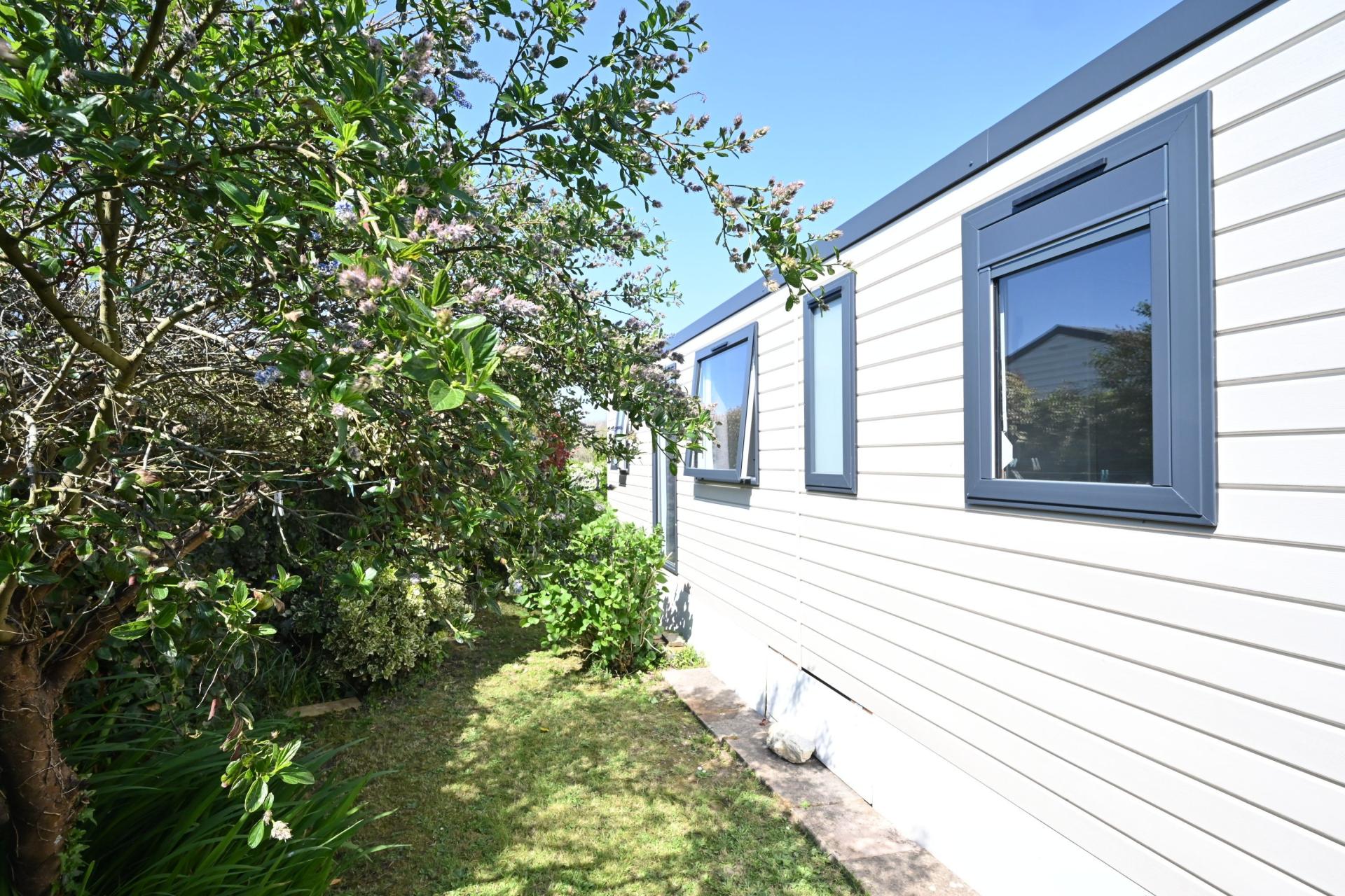 Miniature photo - 4 / 12