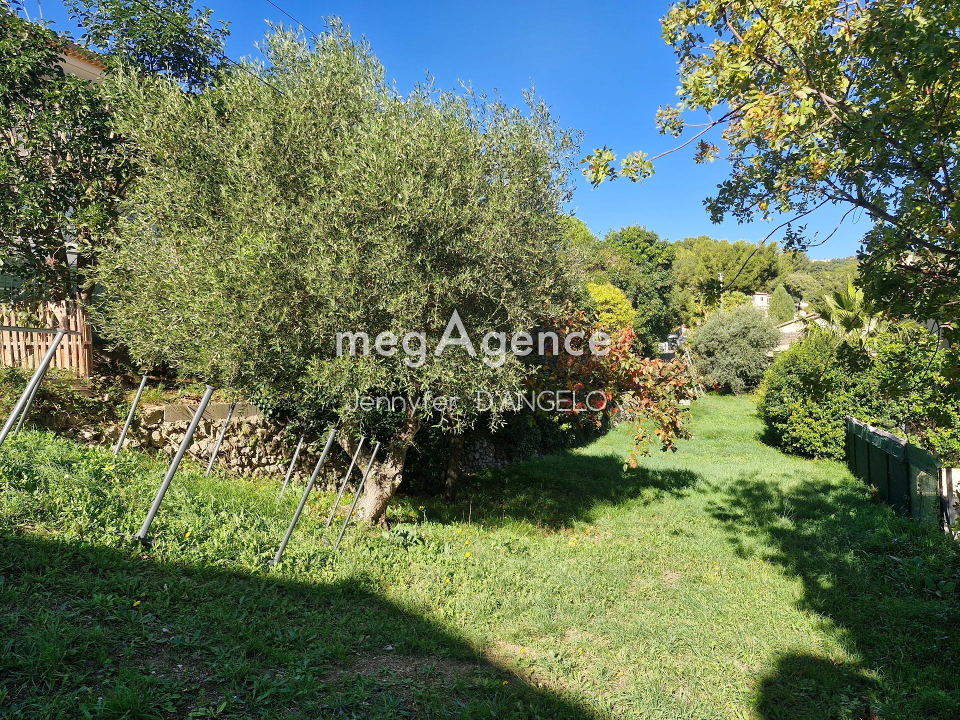 Miniature photo - 3 / 12