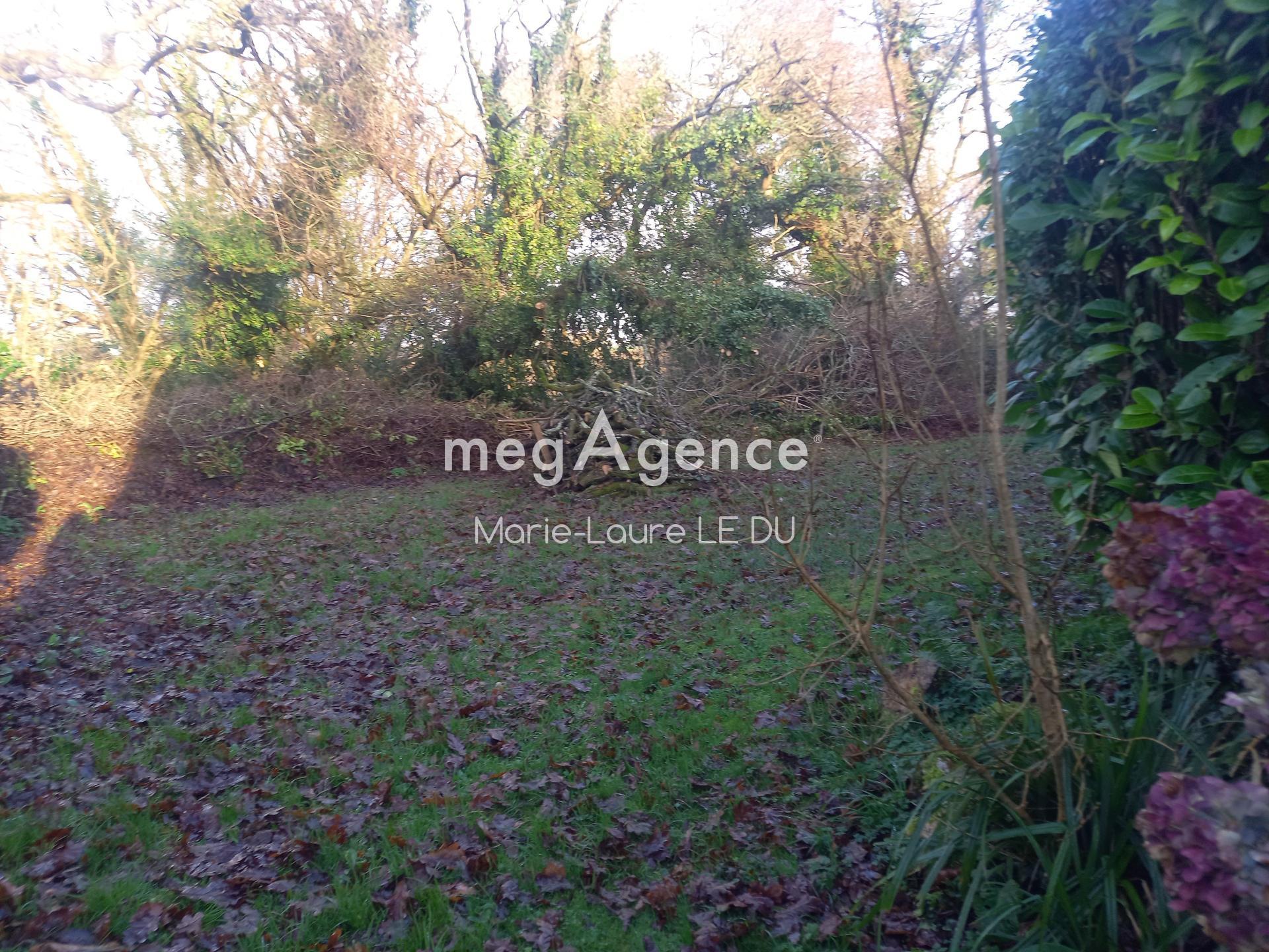 Miniature photo - 4 / 12