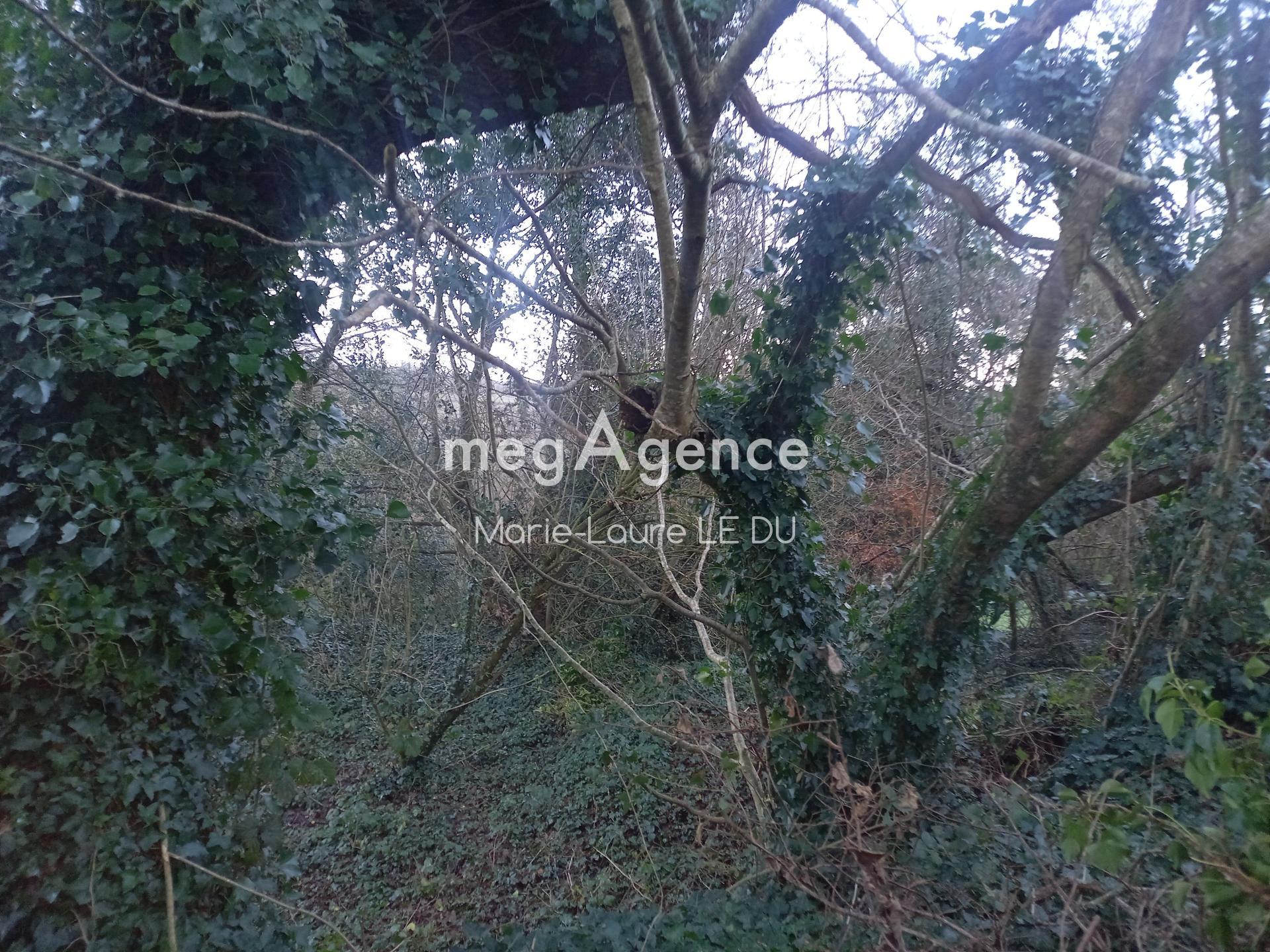 Miniature photo - 5 / 12