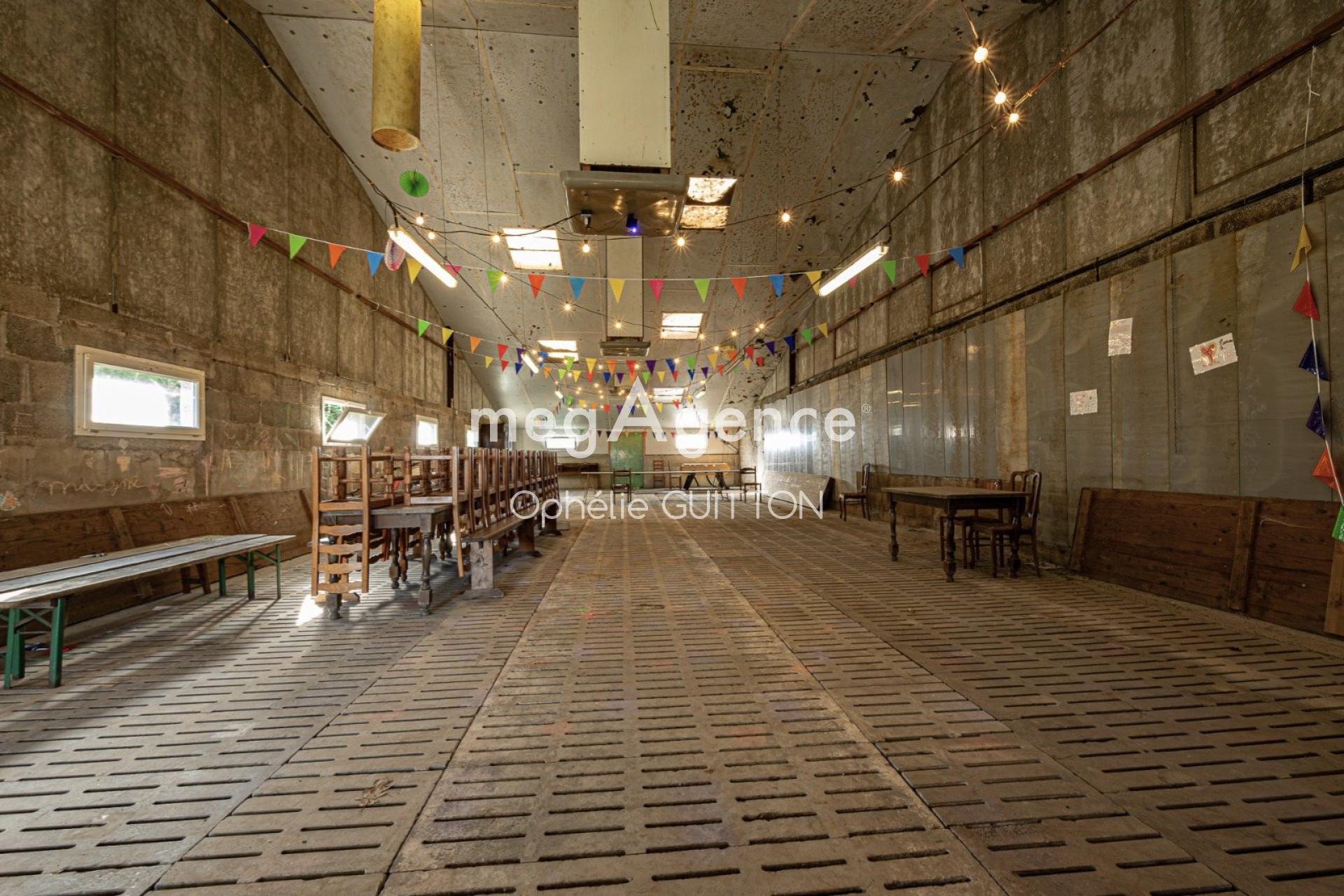 Miniature photo - 11 / 11