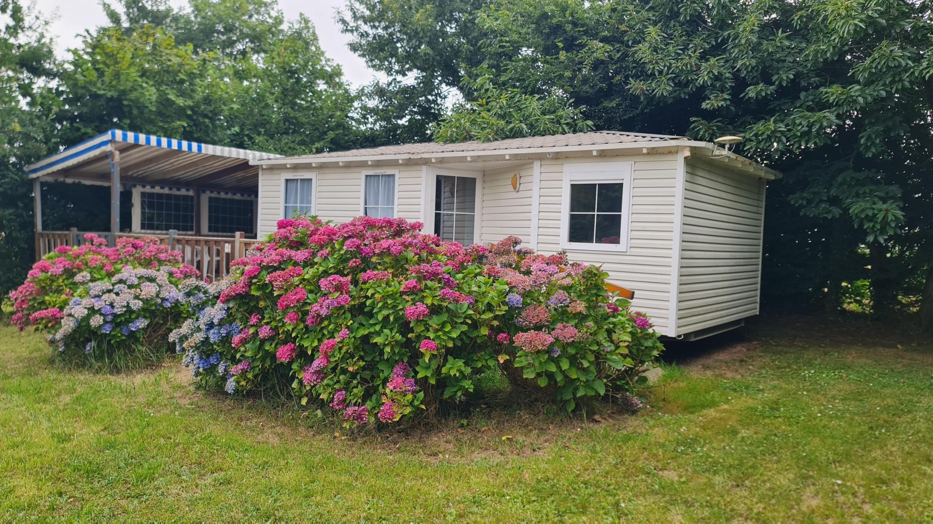 Miniature photo - 5 / 7