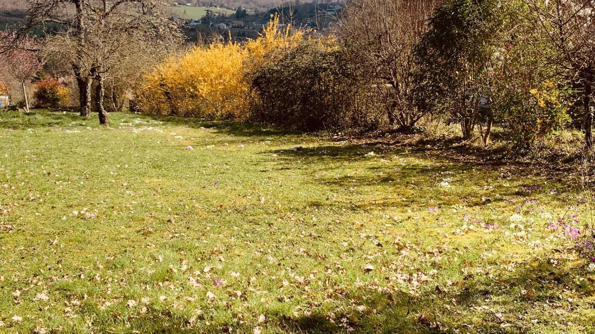 Miniature photo - 4 / 14