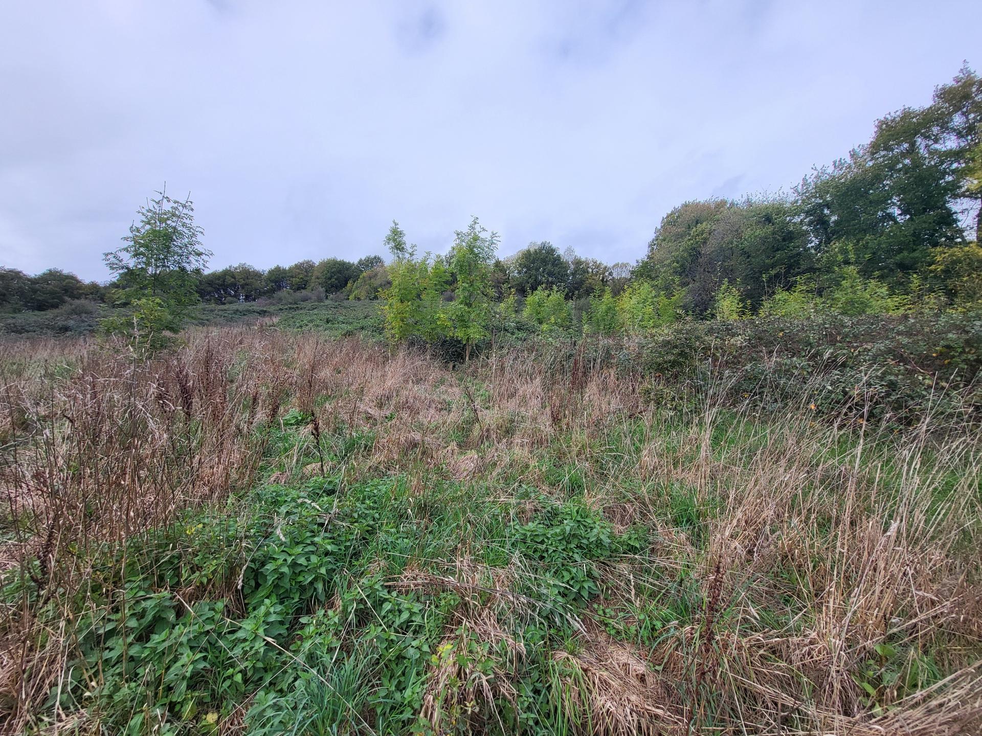 Miniature photo - 6 / 6