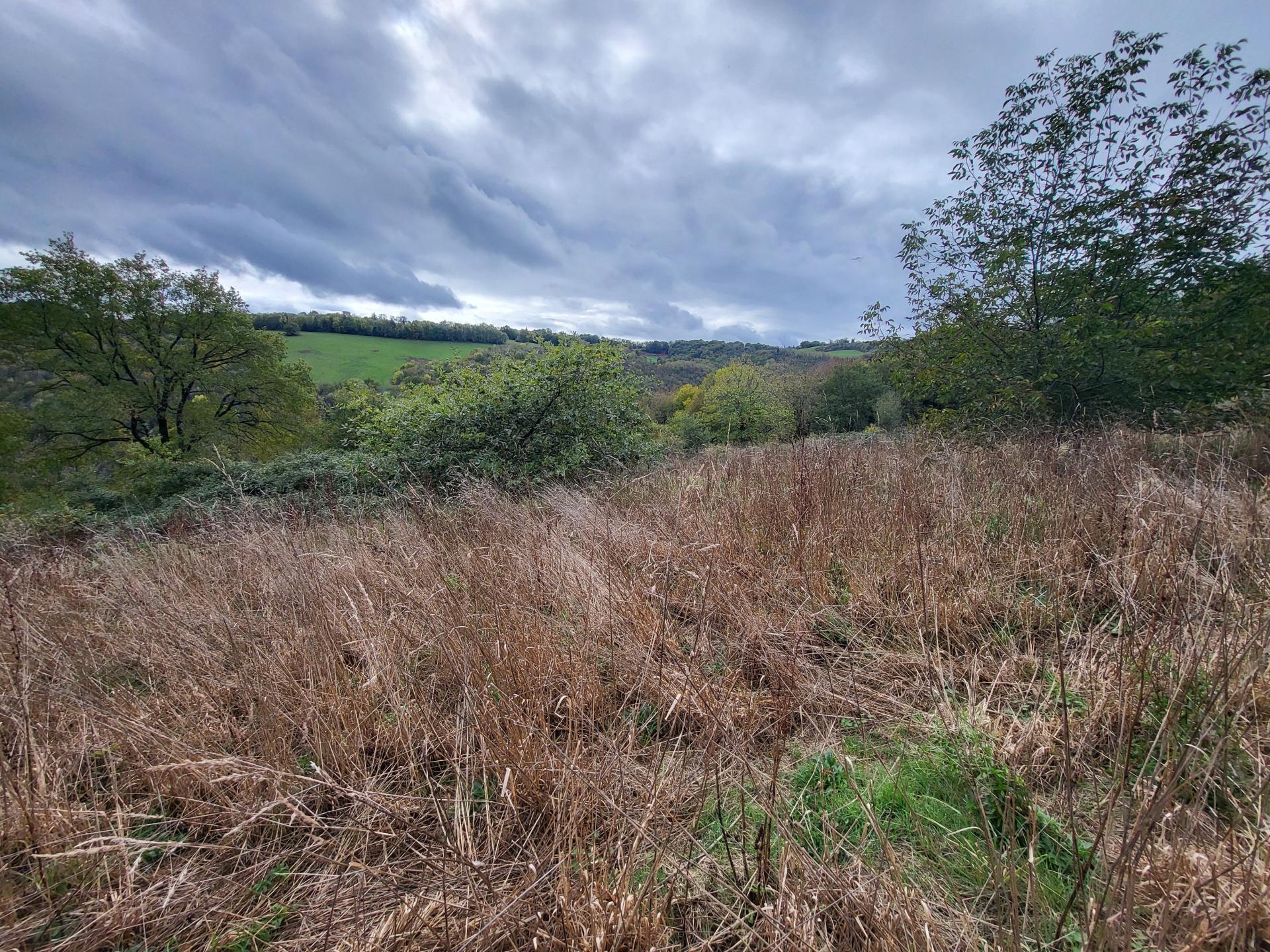 Miniature photo - 5 / 6