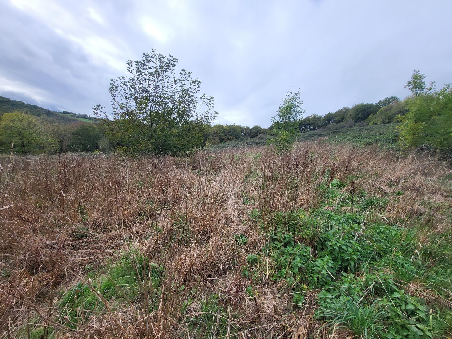 Miniature photo - 4 / 6