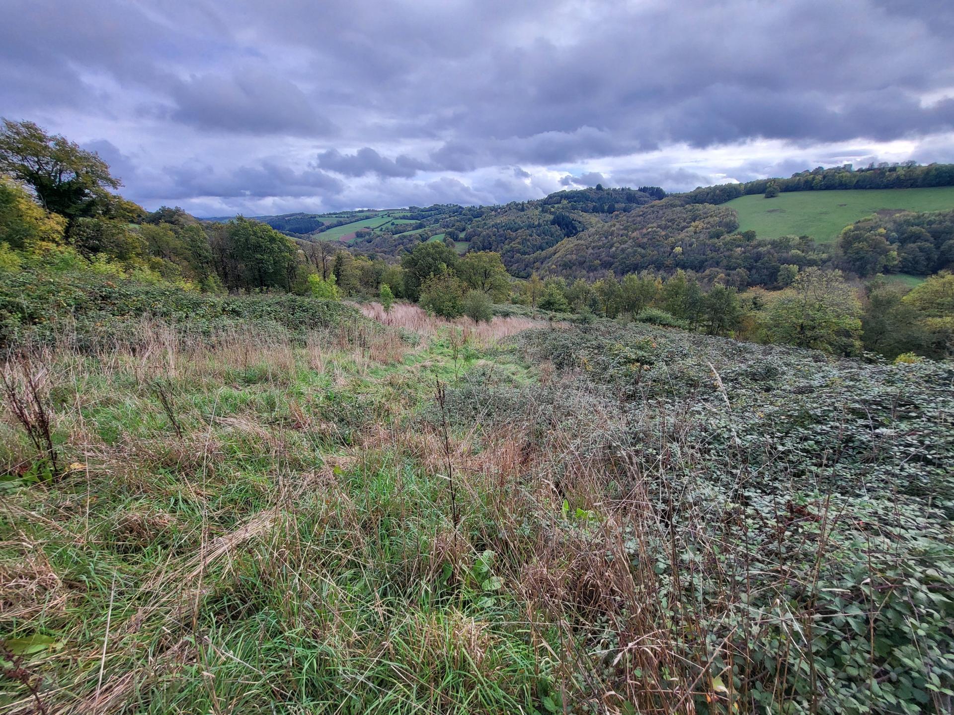 Miniature photo - 2 / 6