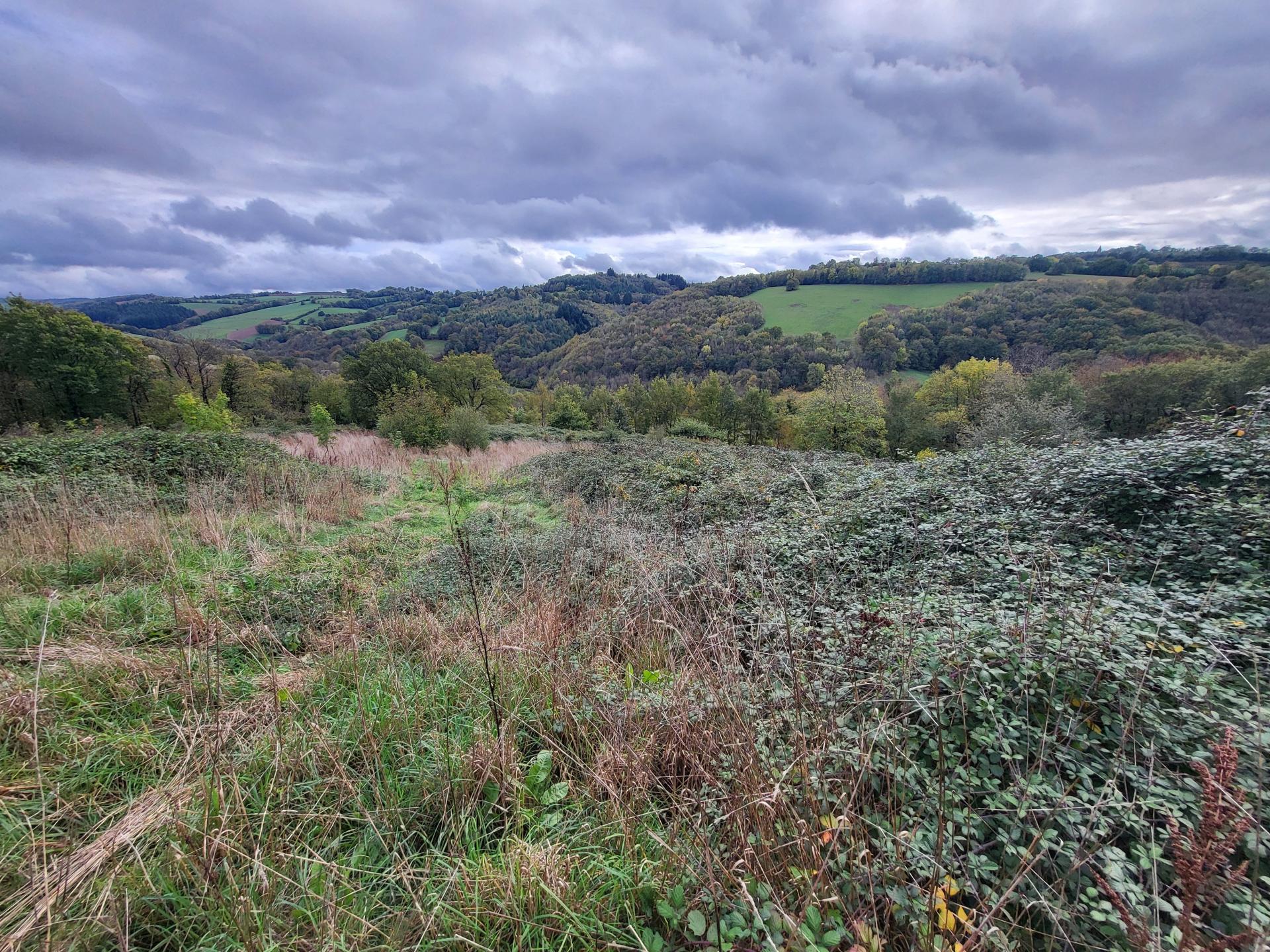 Photographie descriptive du bien