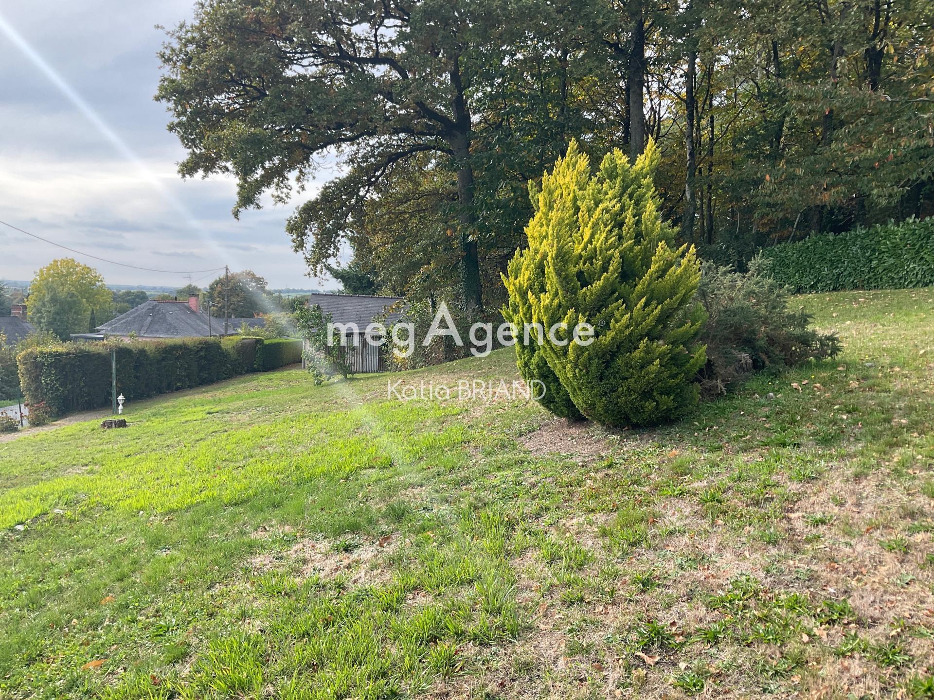 Miniature photo - 8 / 8