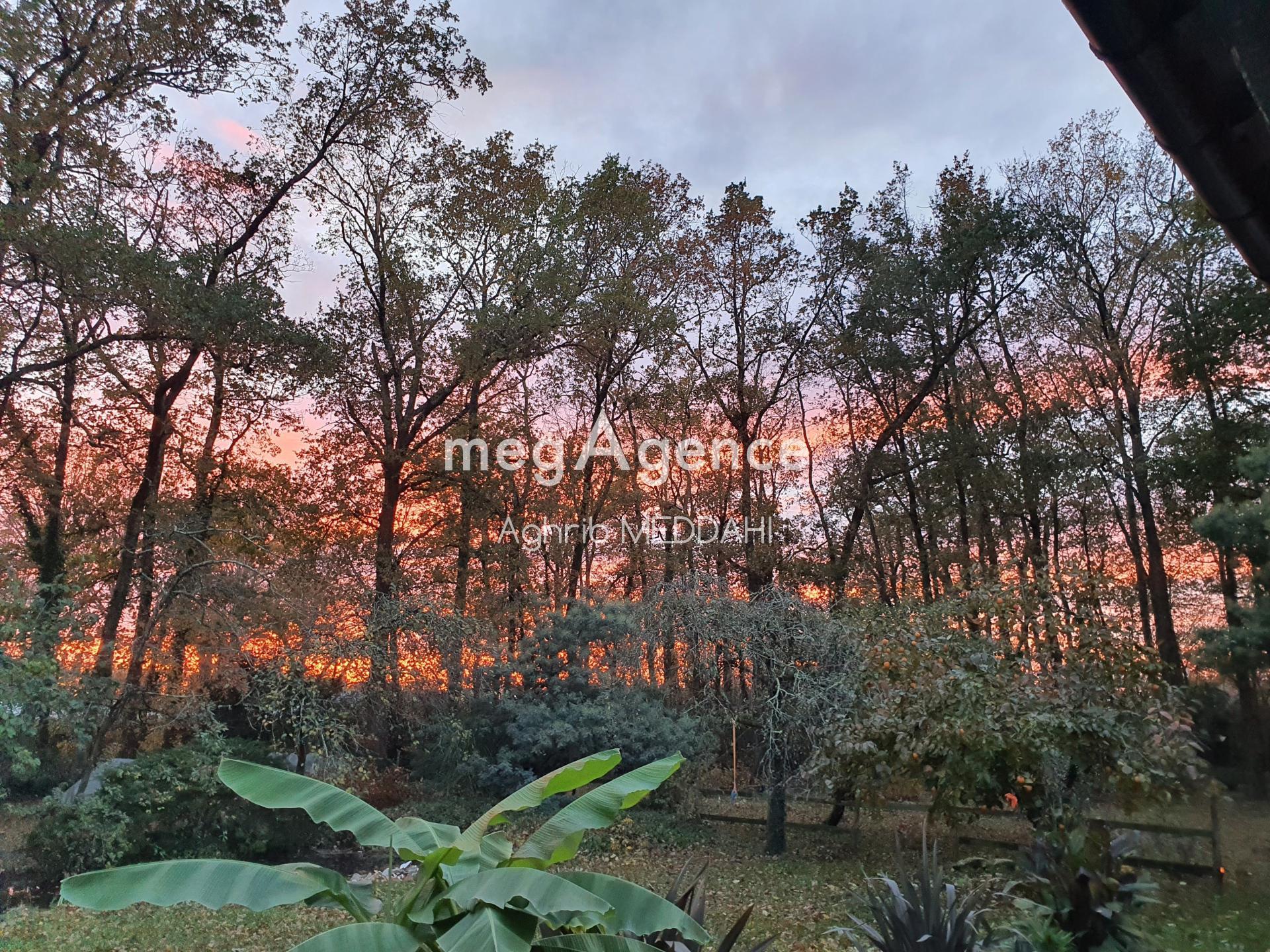 Miniature photo - 2 / 8