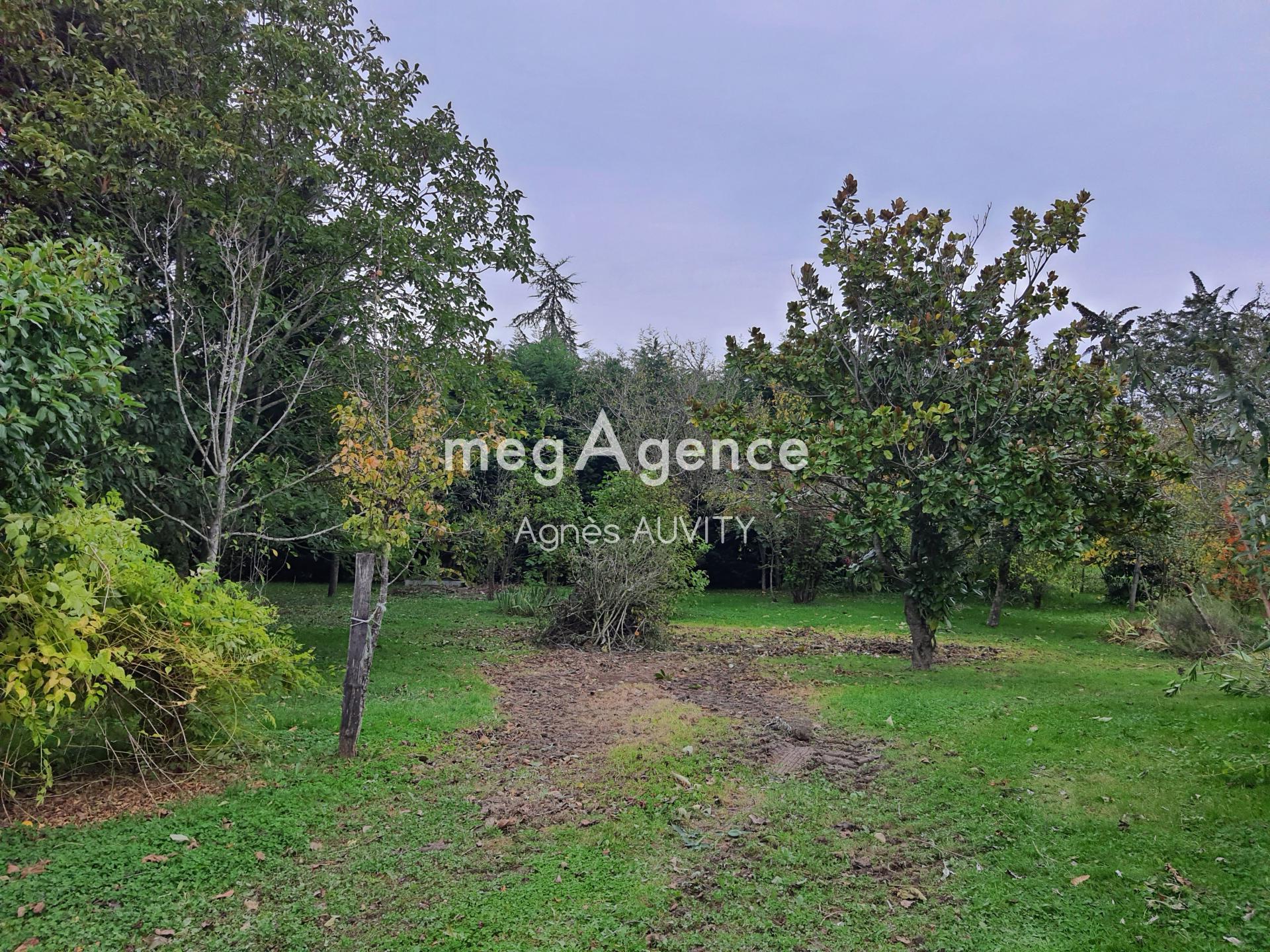 Miniature photo - 8 / 9