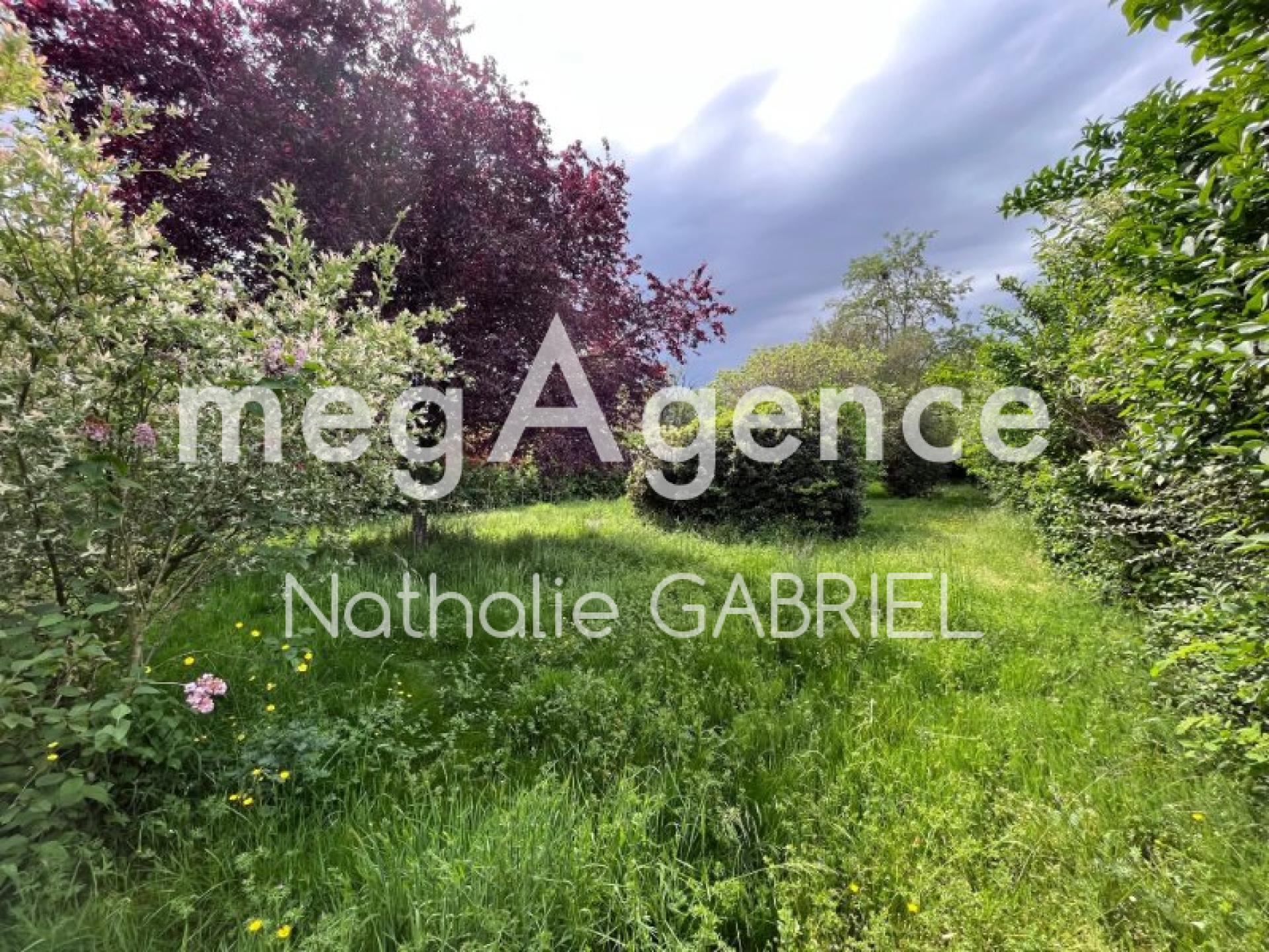 Miniature photo - 4 / 8