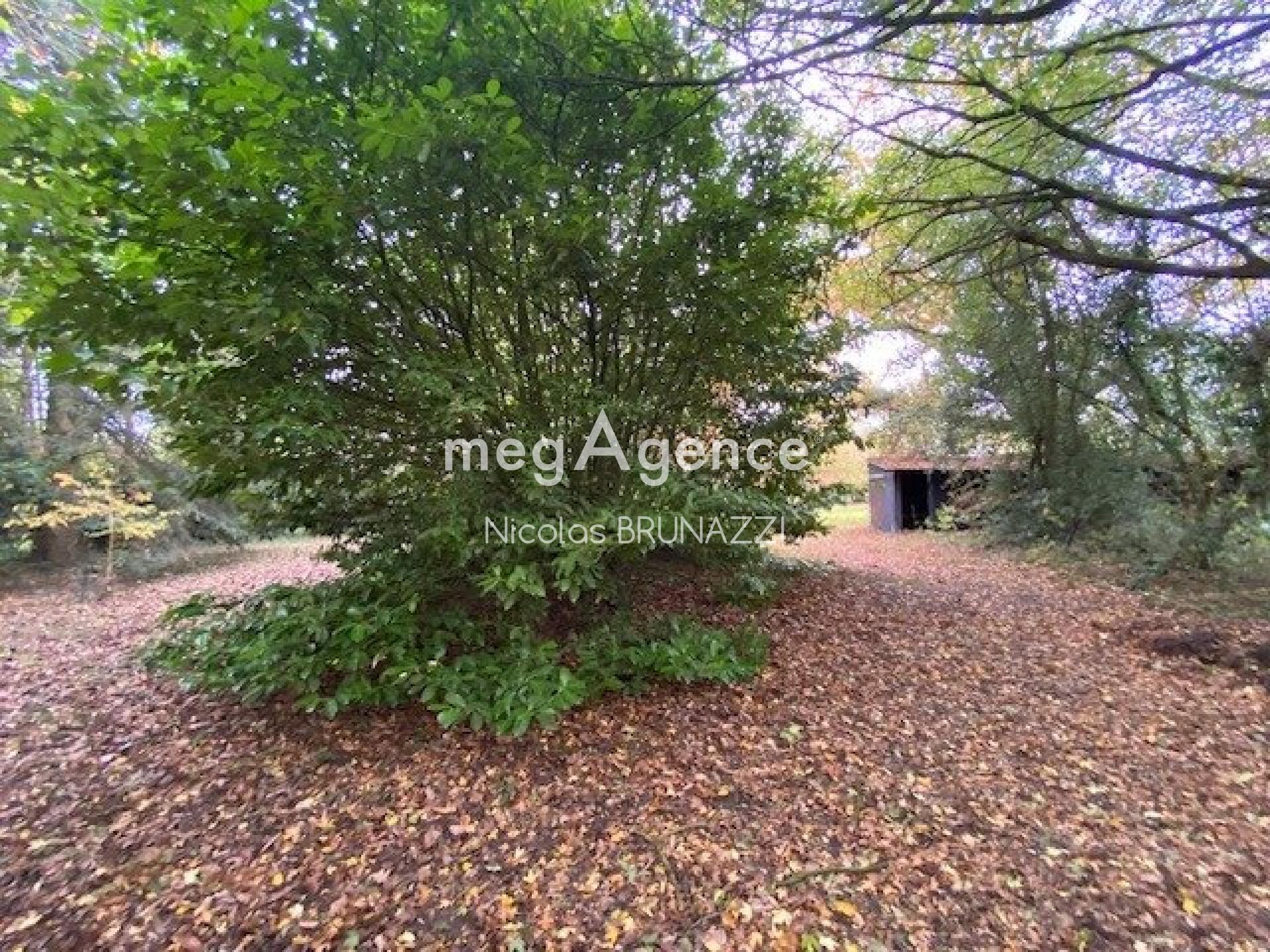 Miniature photo - 10 / 10