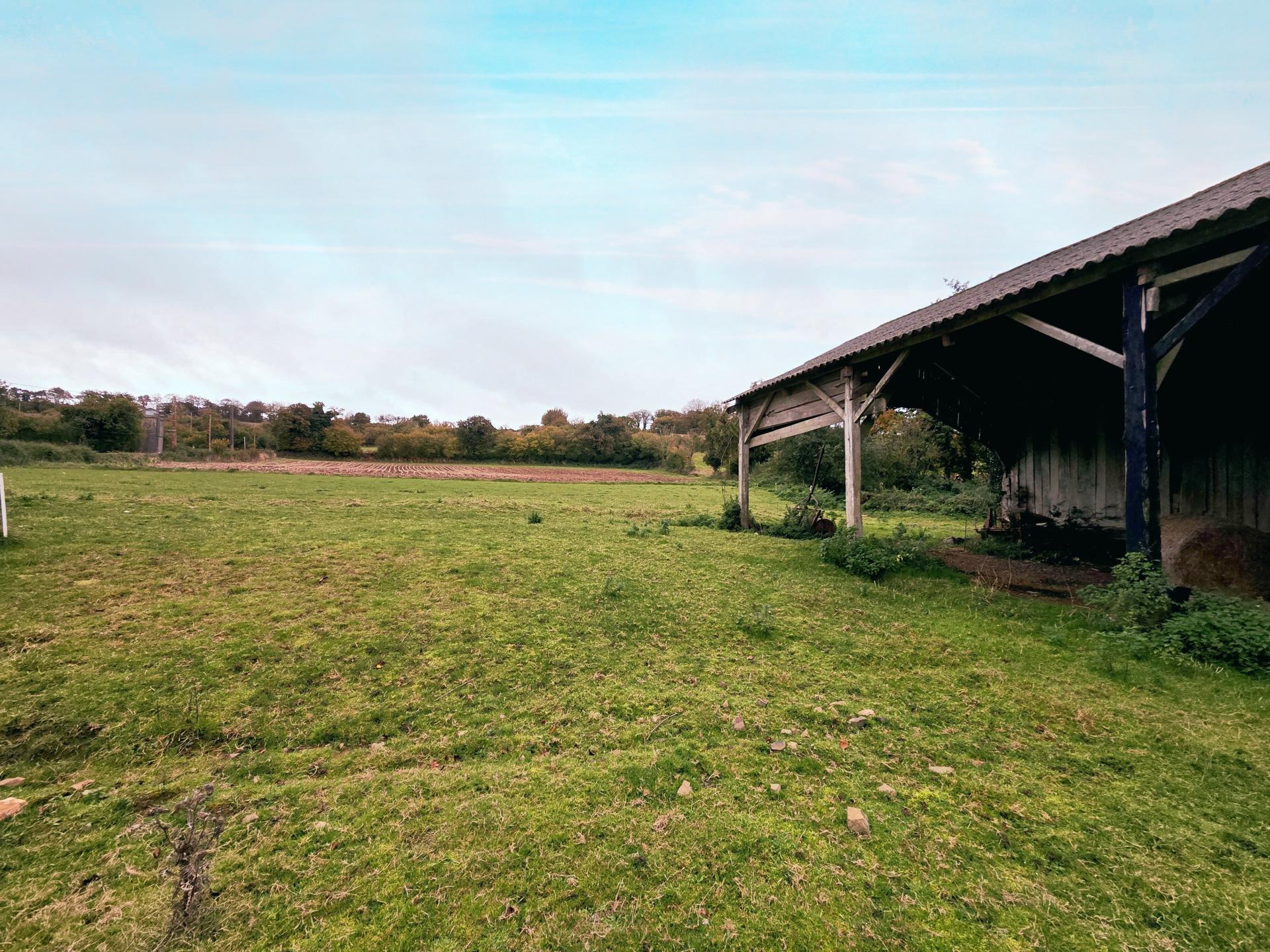 Miniature photo - 13 / 13