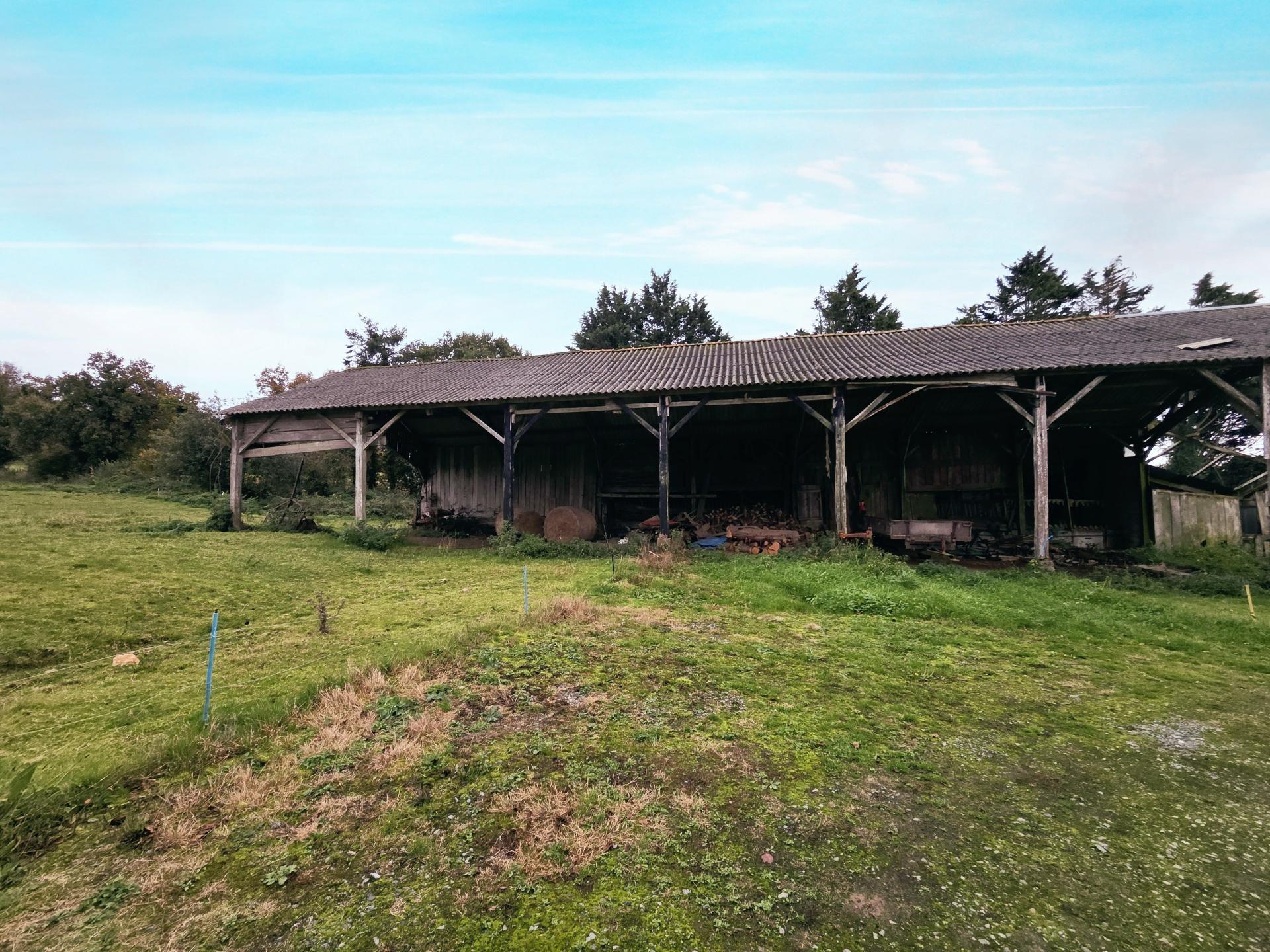 Miniature photo - 12 / 13