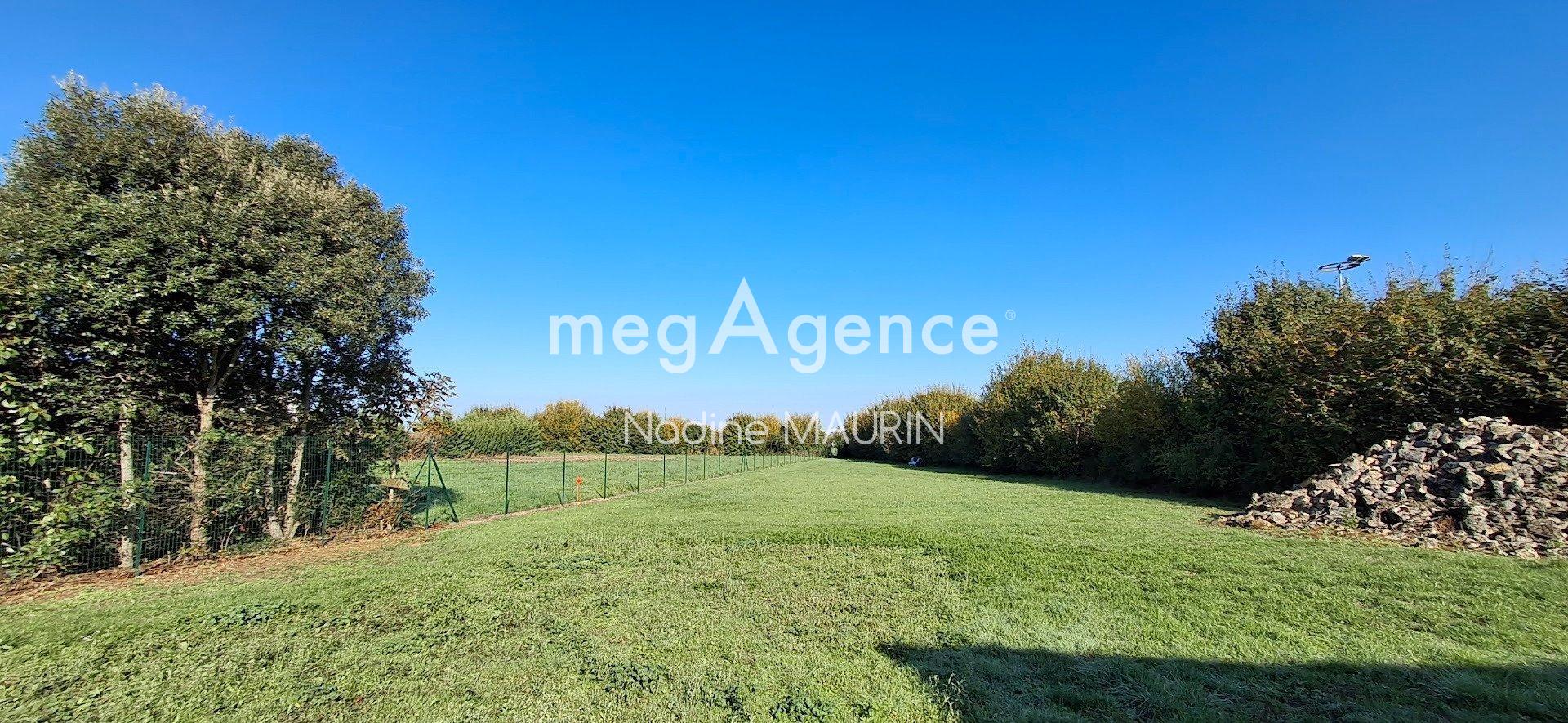 Miniature photo - 4 / 13