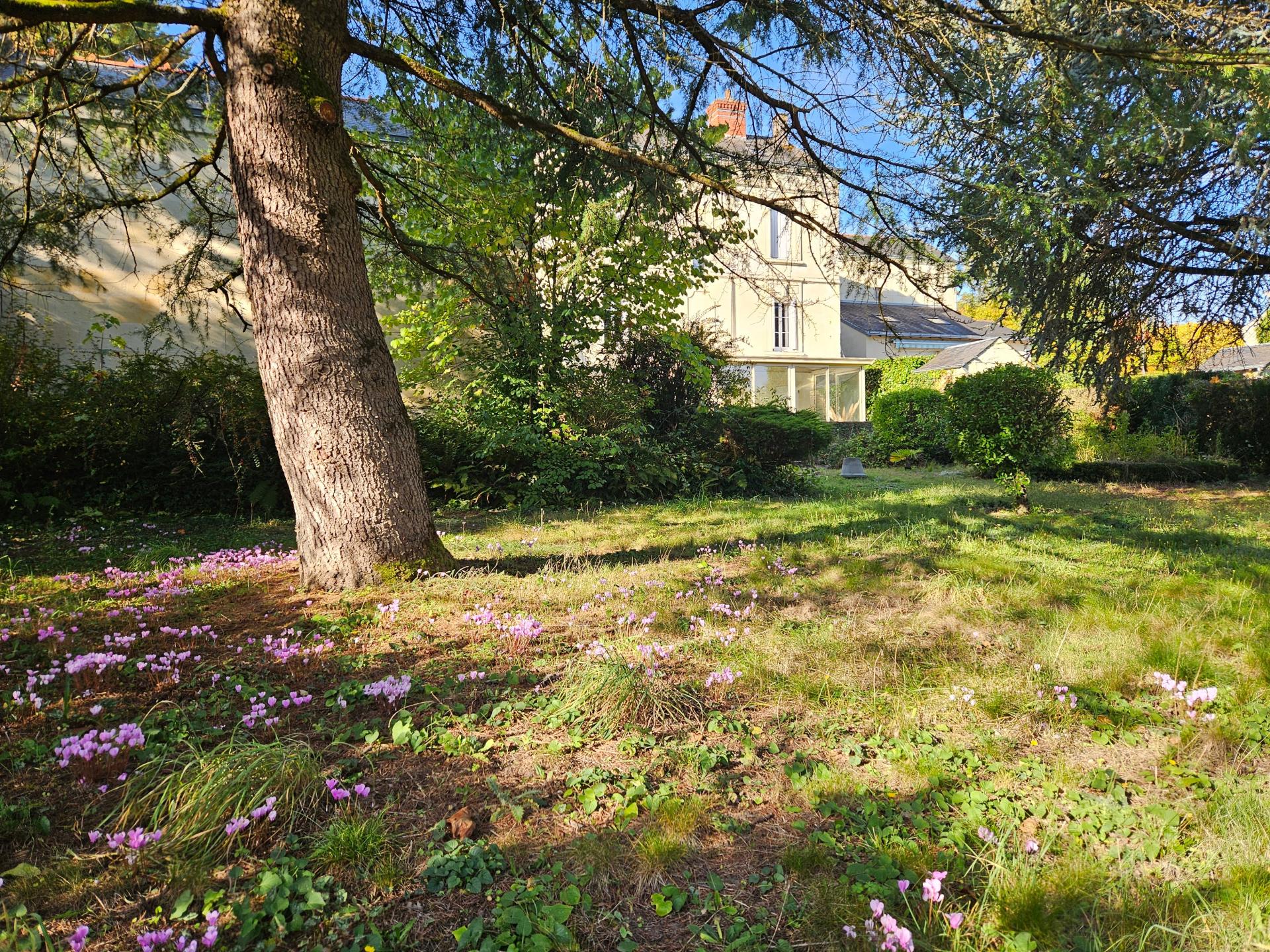 Miniature photo - 15 / 16