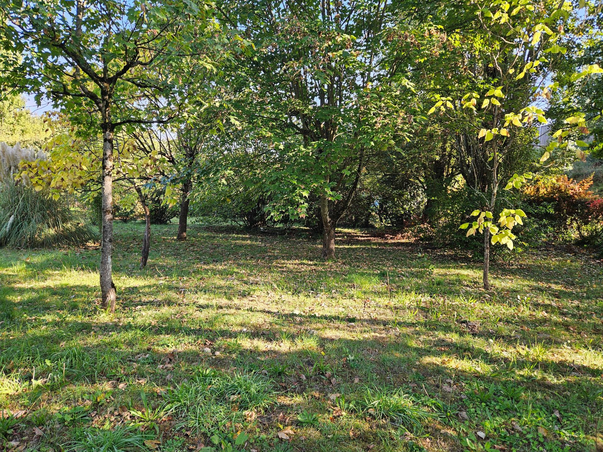 Miniature photo - 16 / 16