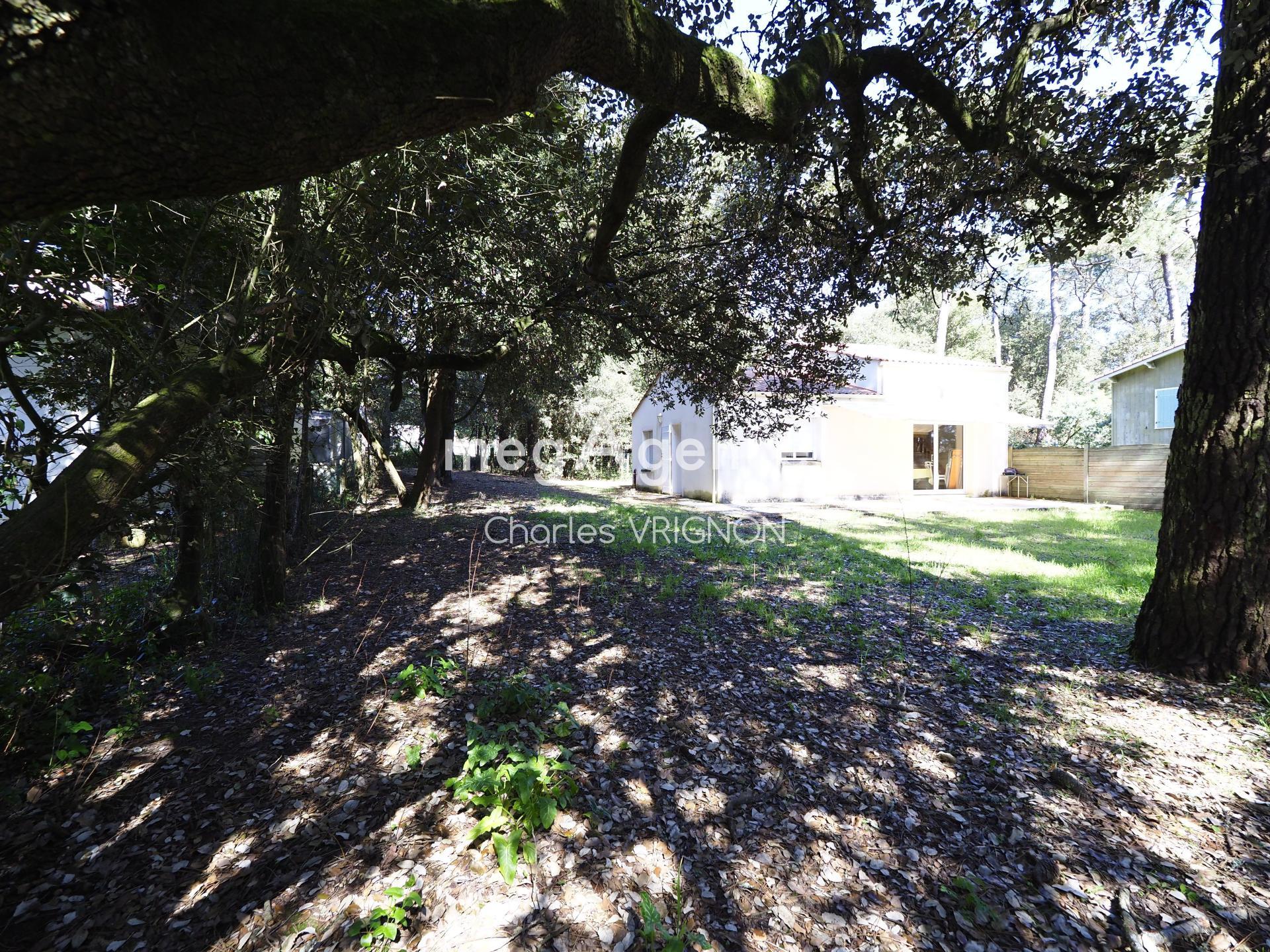 Miniature photo - 2 / 8