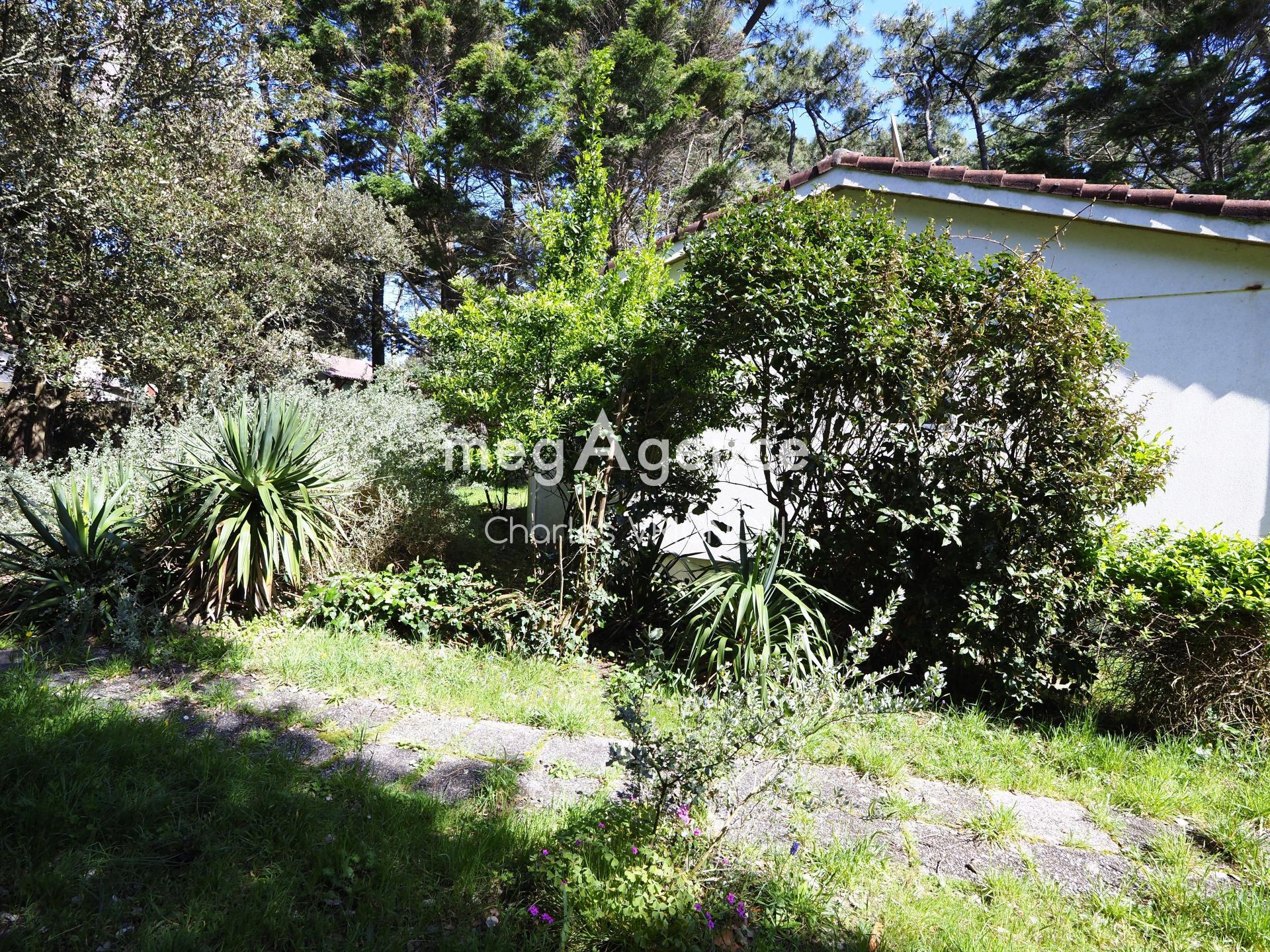 Miniature photo - 3 / 8