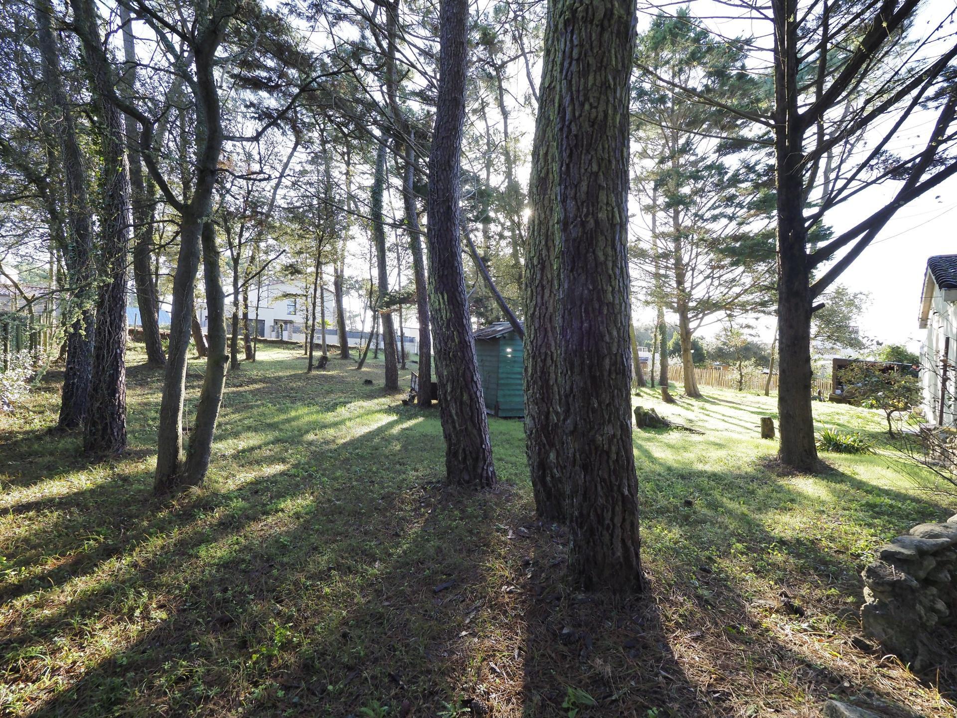 Miniature photo - 4 / 5