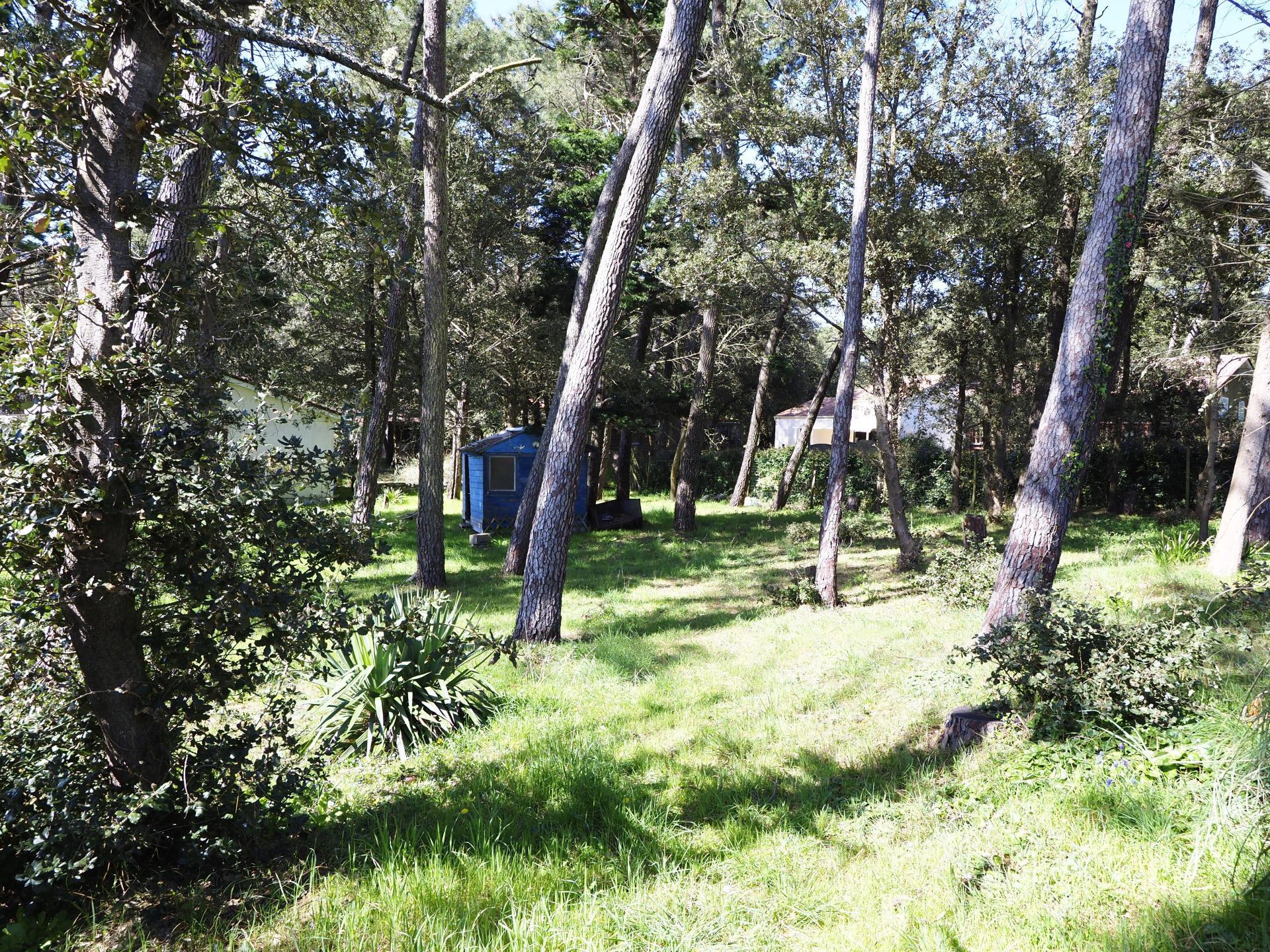 Photographie descriptive du bien