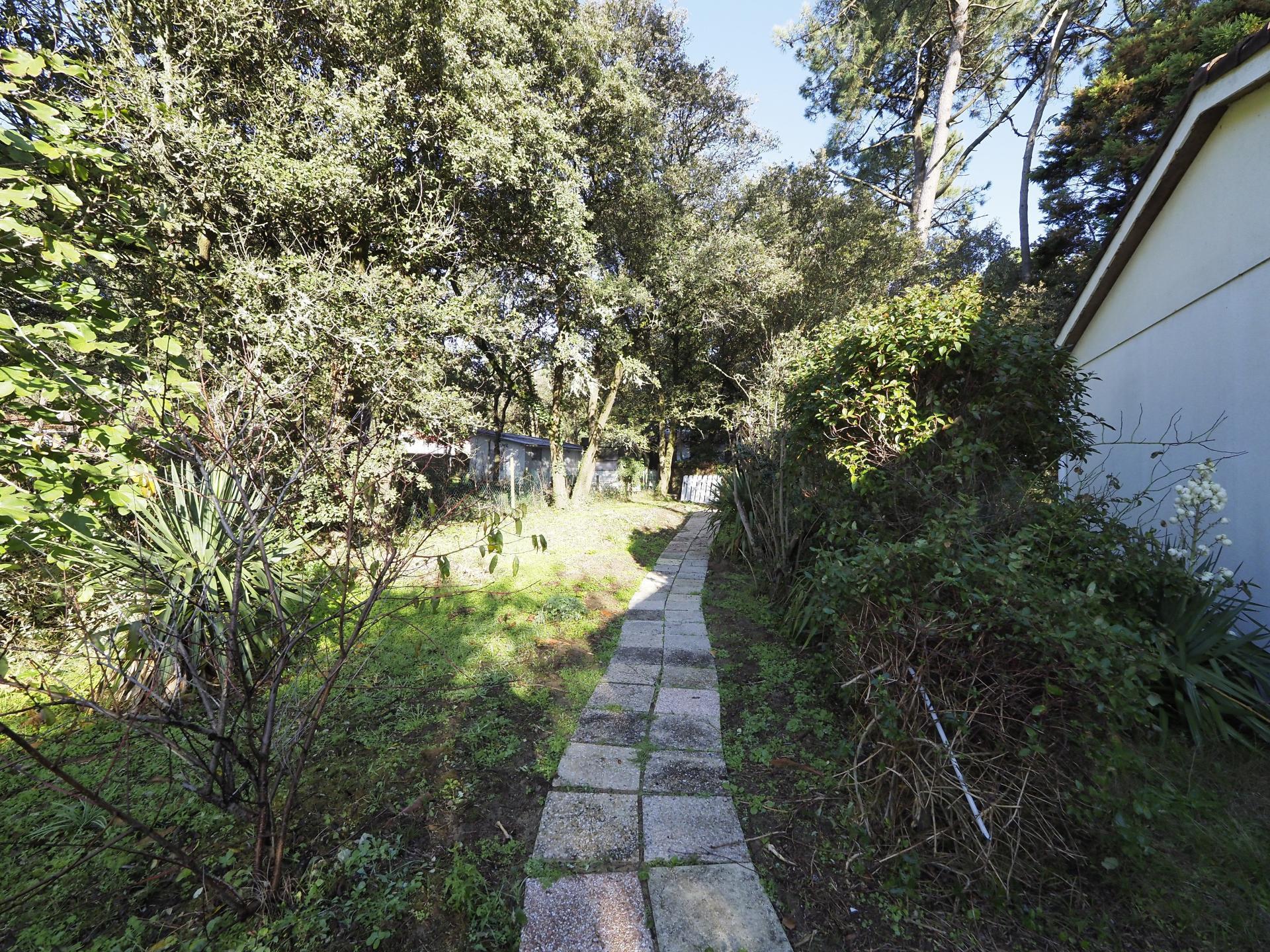 Miniature photo - 5 / 5