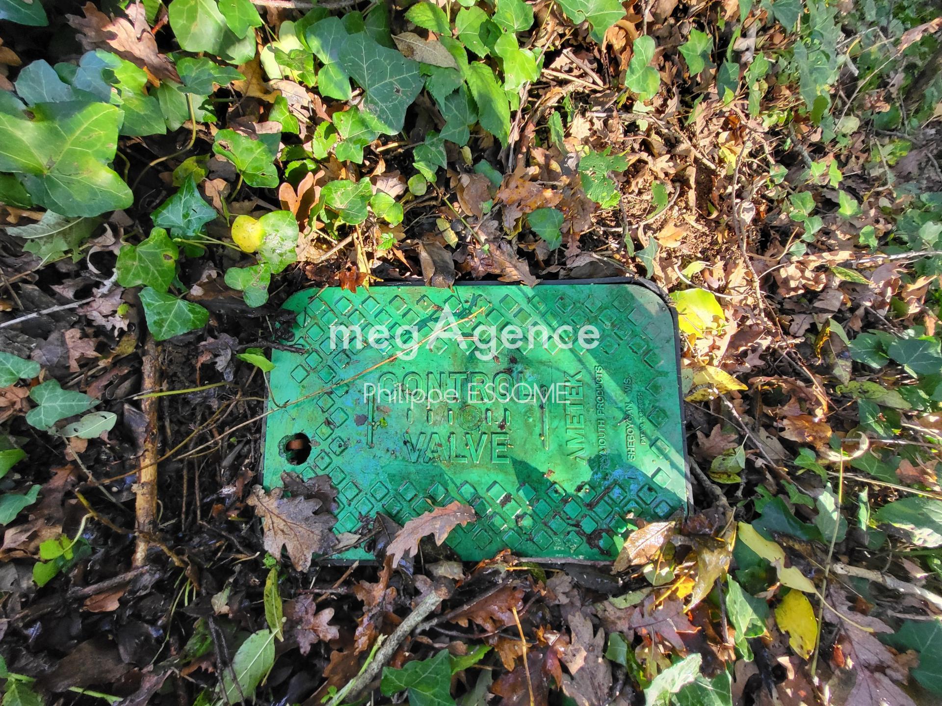 Miniature photo - 5 / 5