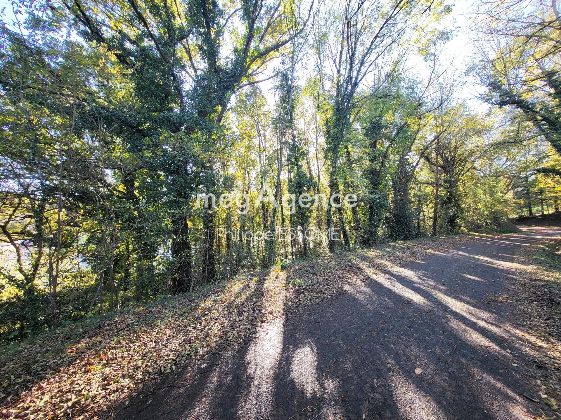 Miniature photo - 2 / 5