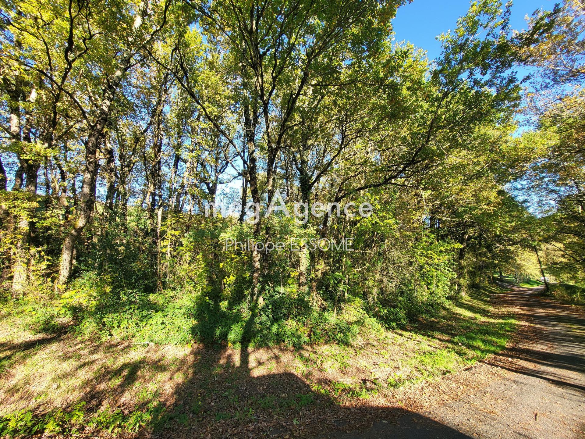 Miniature photo - 4 / 5