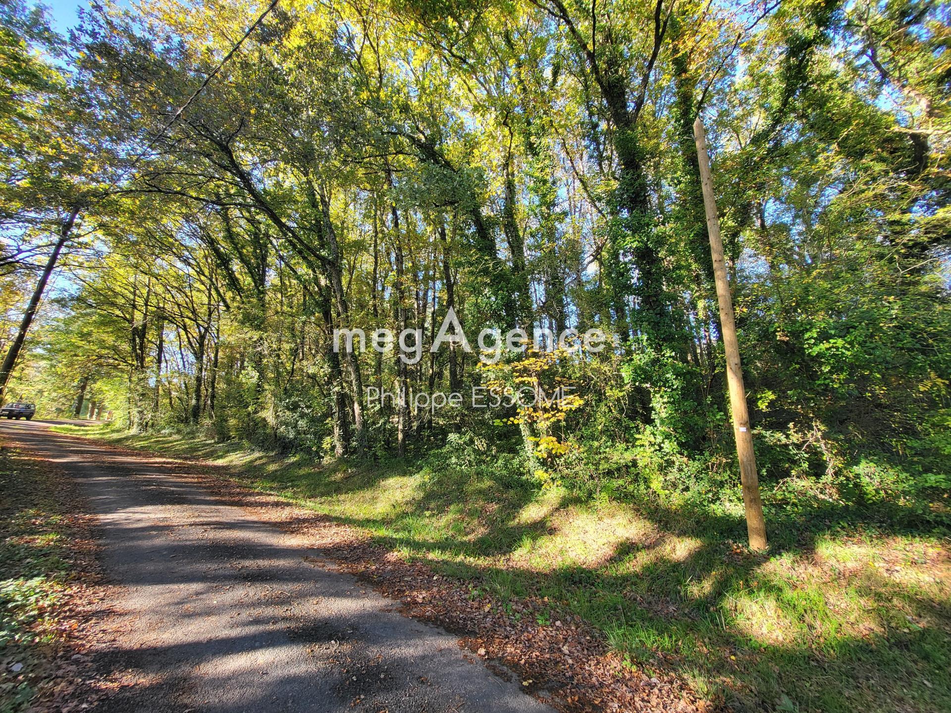 Miniature photo - 3 / 5