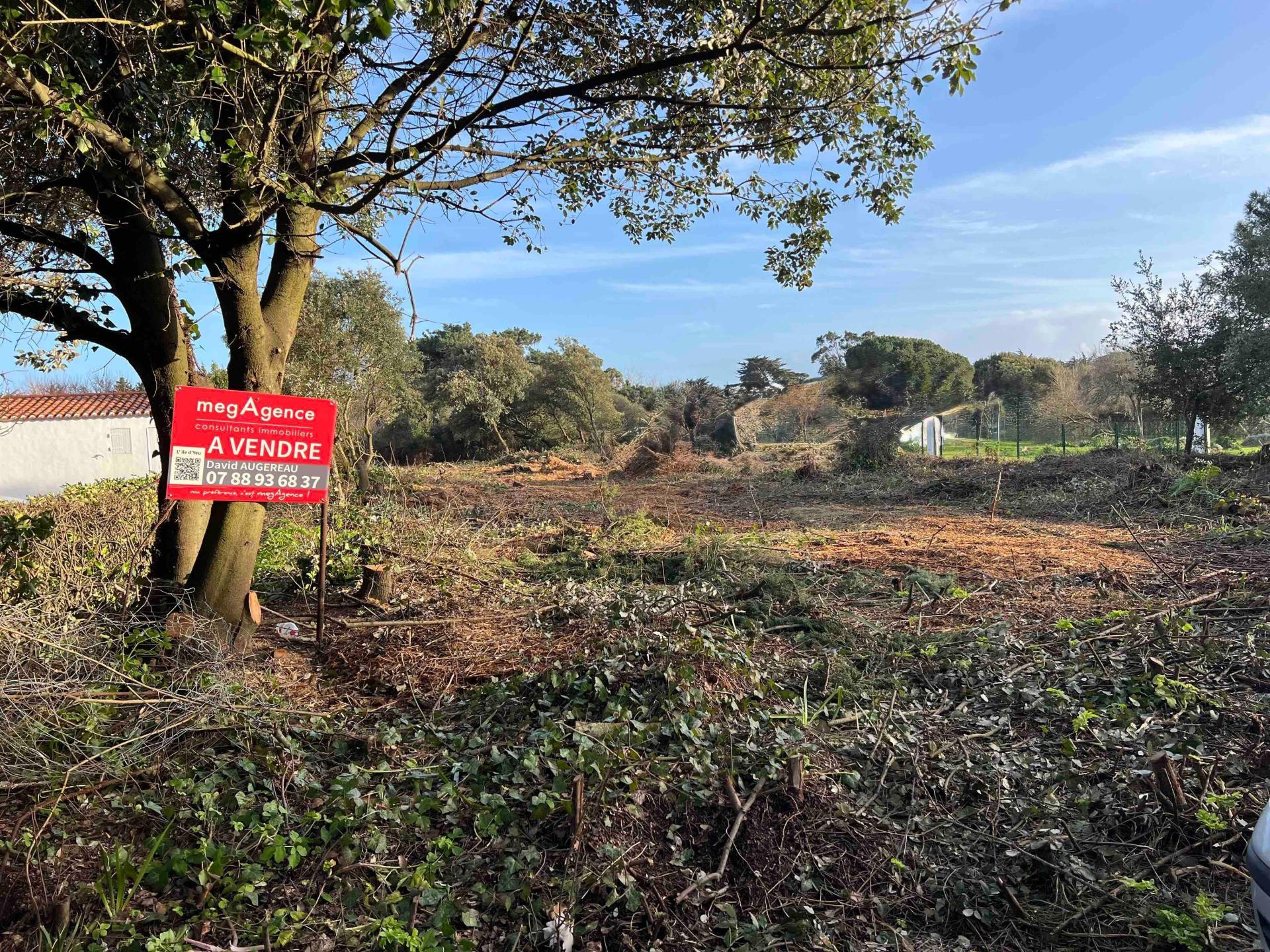 Miniature photo - 2 / 3