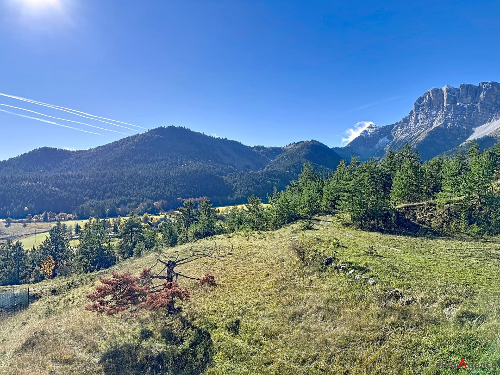 Miniature photo - 7 / 12