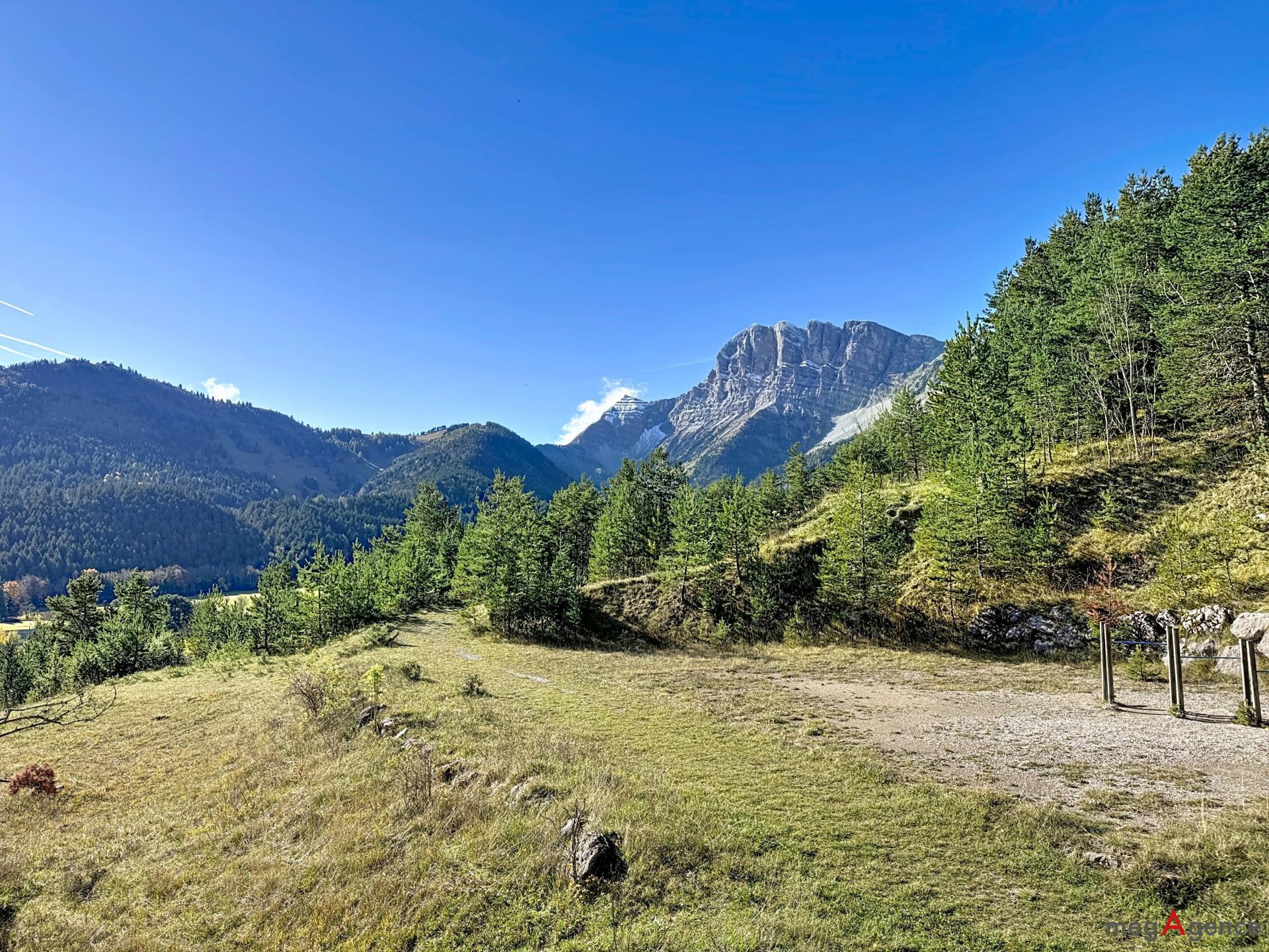 Miniature photo - 2 / 12