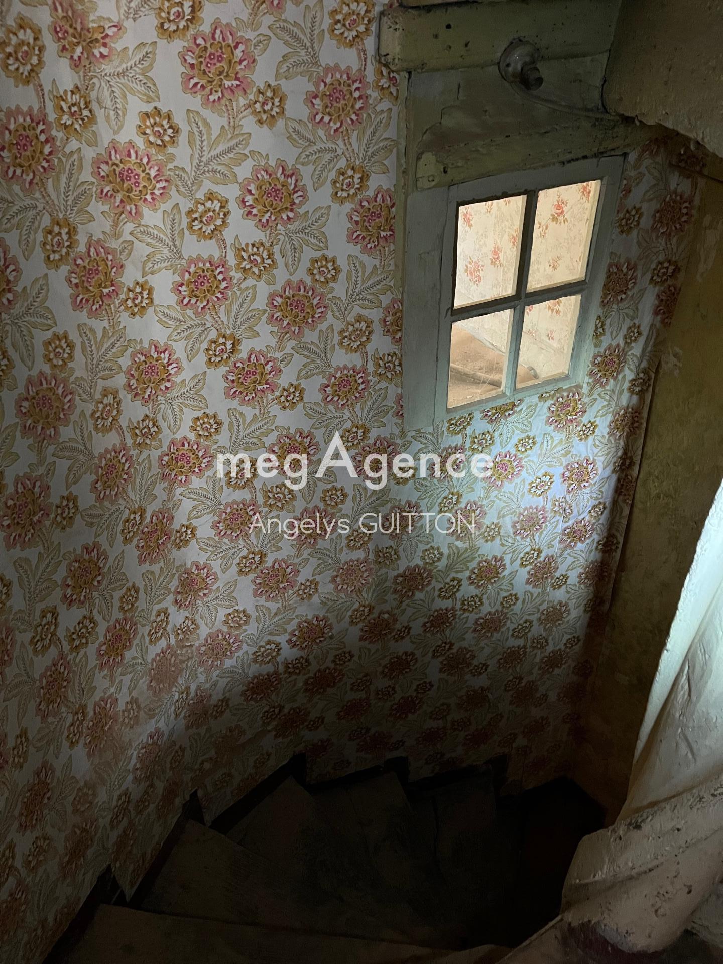 Miniature photo - 4 / 8